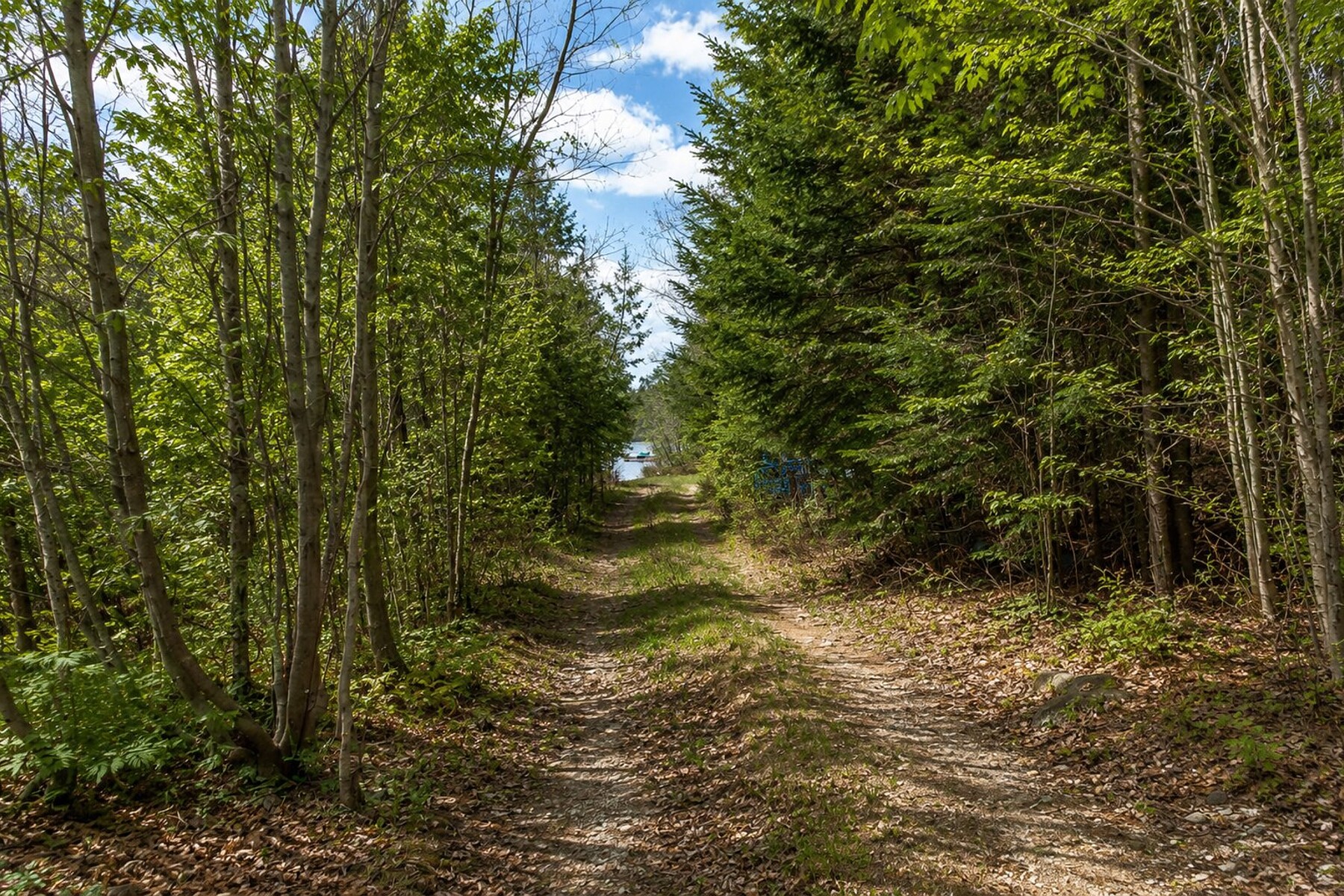  Wentworth-Nord, Laurentides - 物件實景