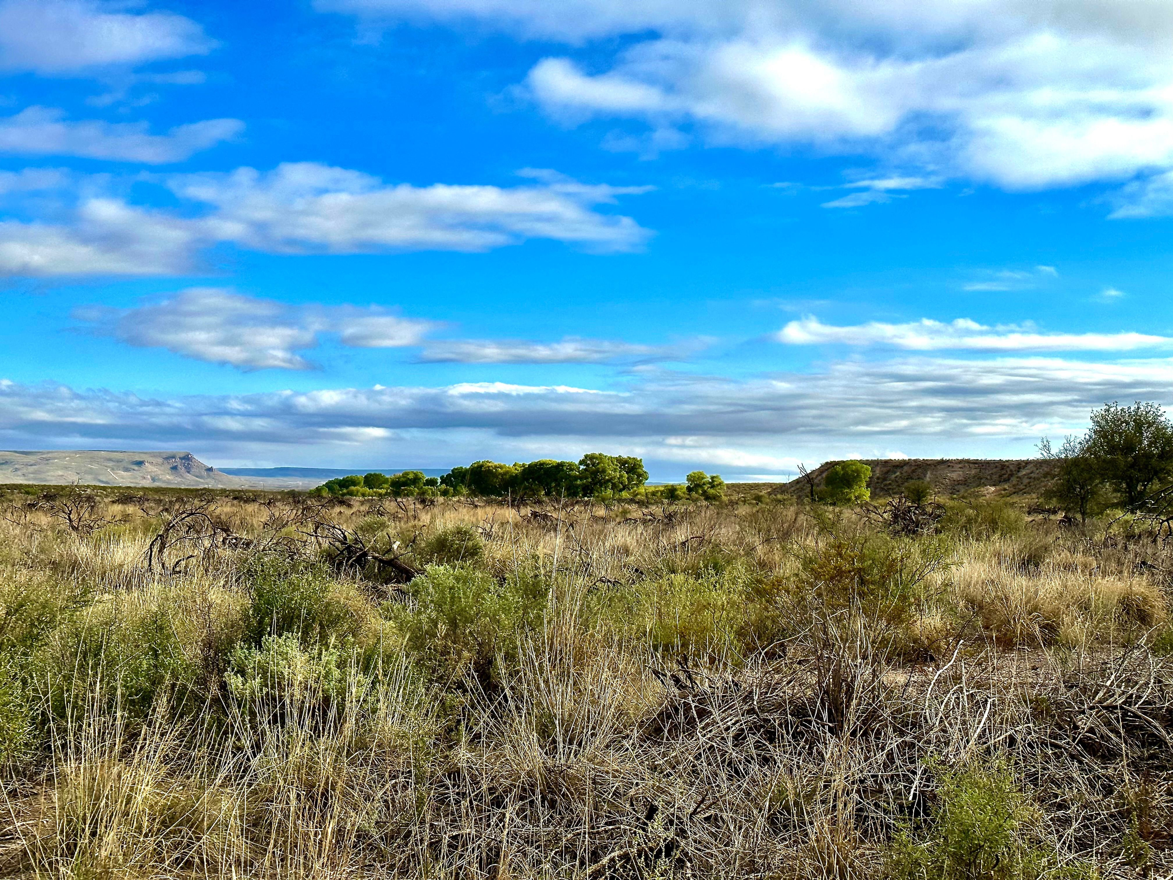  The Alamito Ranch in Presidio County - 物件實景