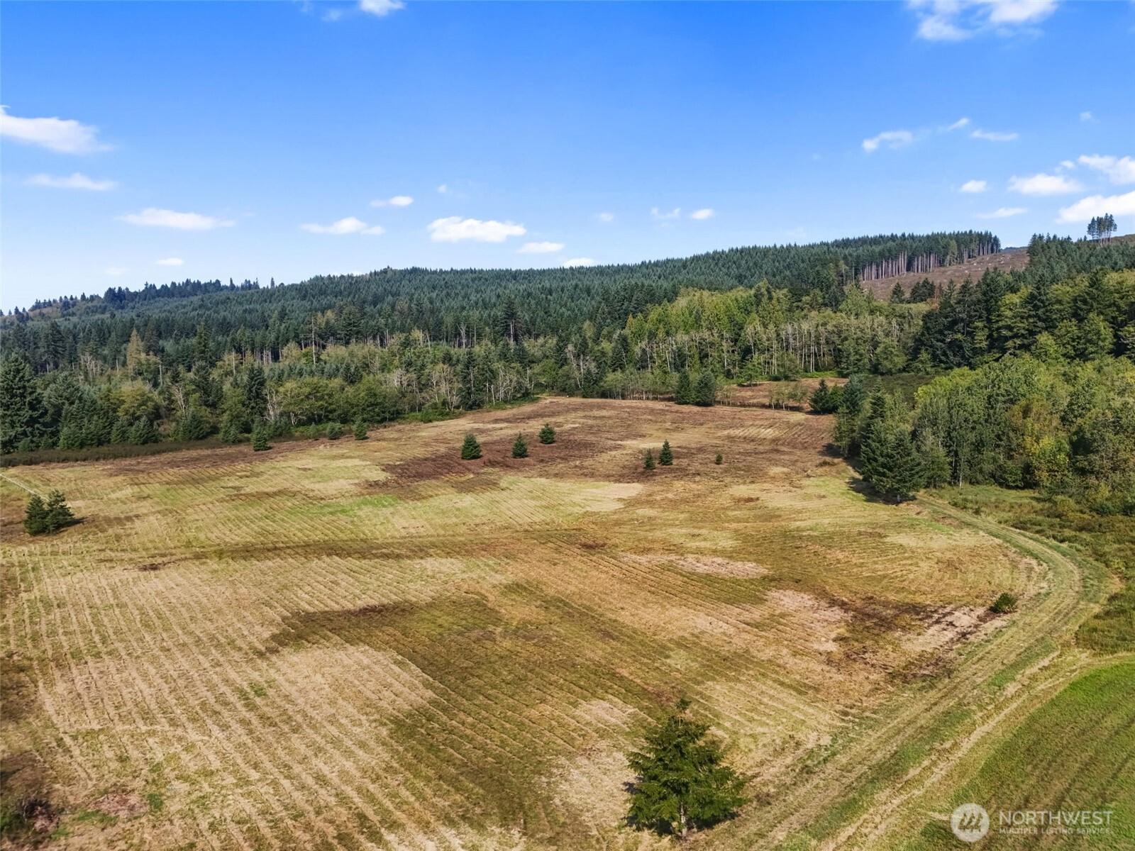 Onalaska, Washington, 98570, United States, ,Land,For Sale,1994245