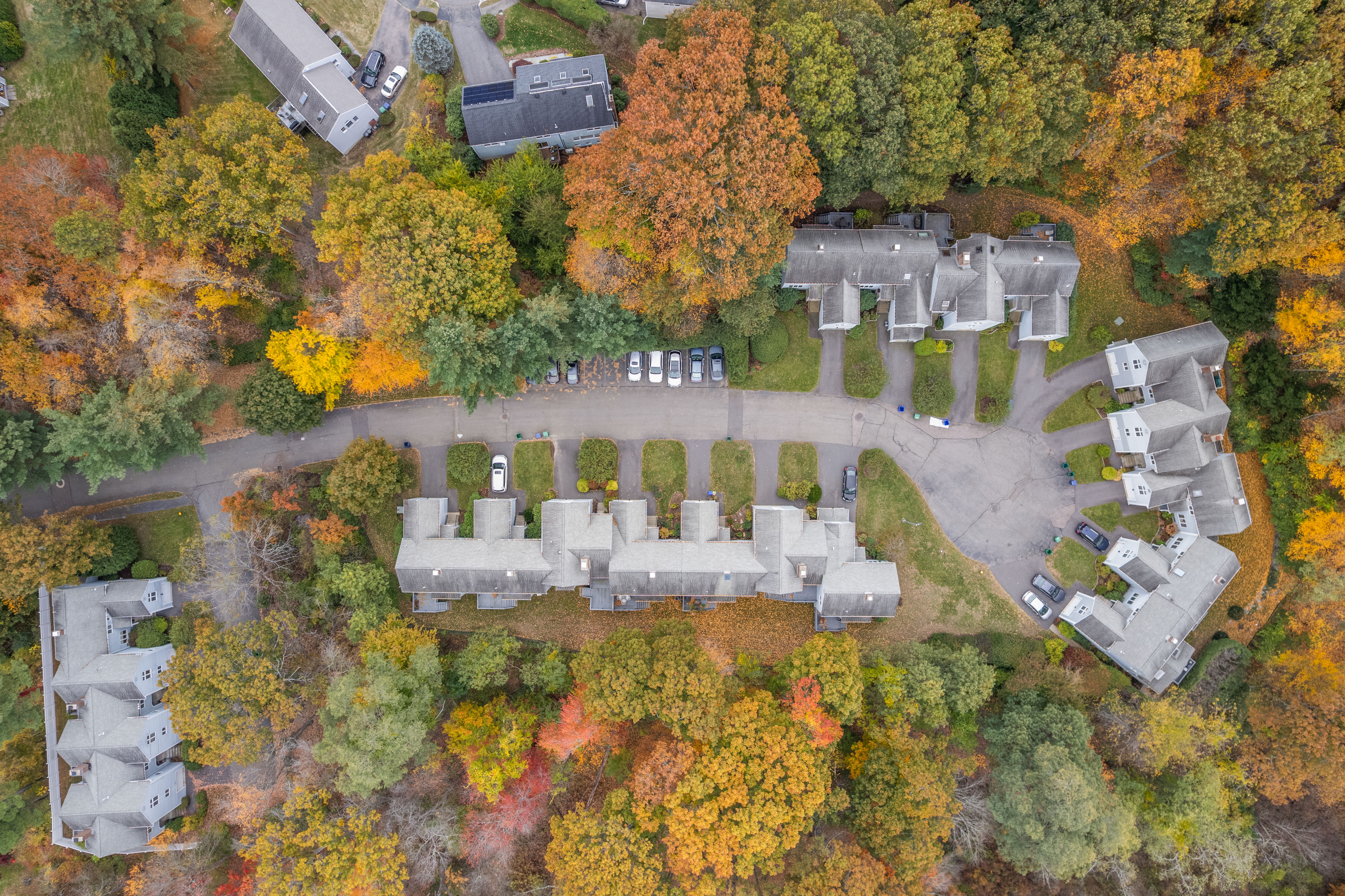  305 Winchester Street, Unit D, Newton, MA, 02461 - 物件實景
