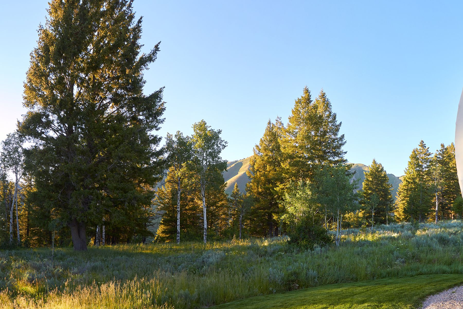  Snake River Sporting Club Lot - 物件實景