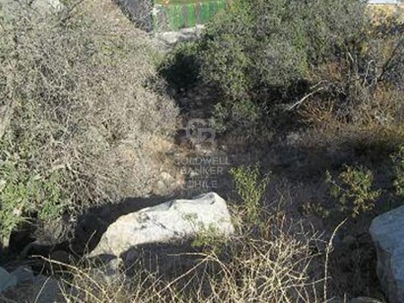Lo Barnechea, Chile, ,Land,For Sale,1902149
