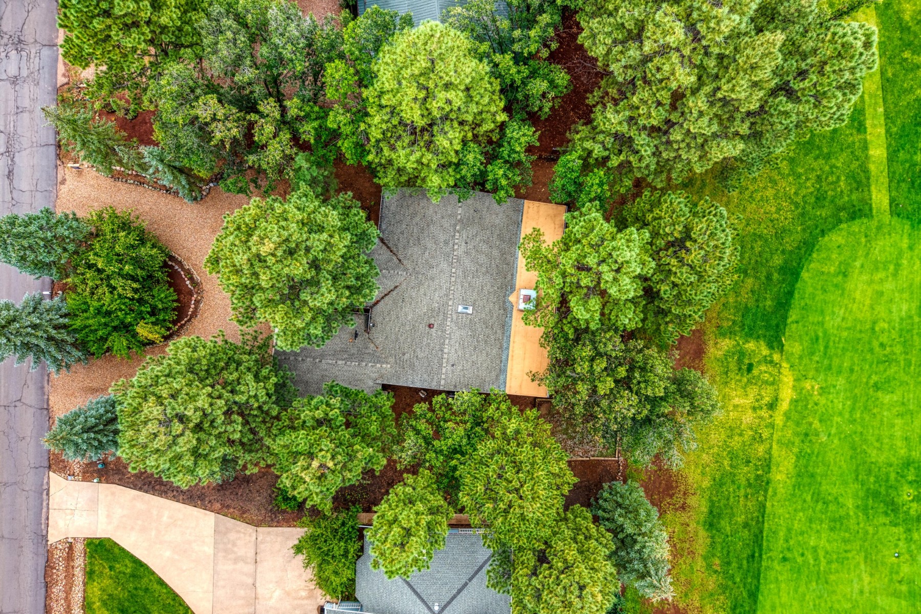  3618 Roaring Fork Drive, Pinetop, AZ 85935 - 物件實景