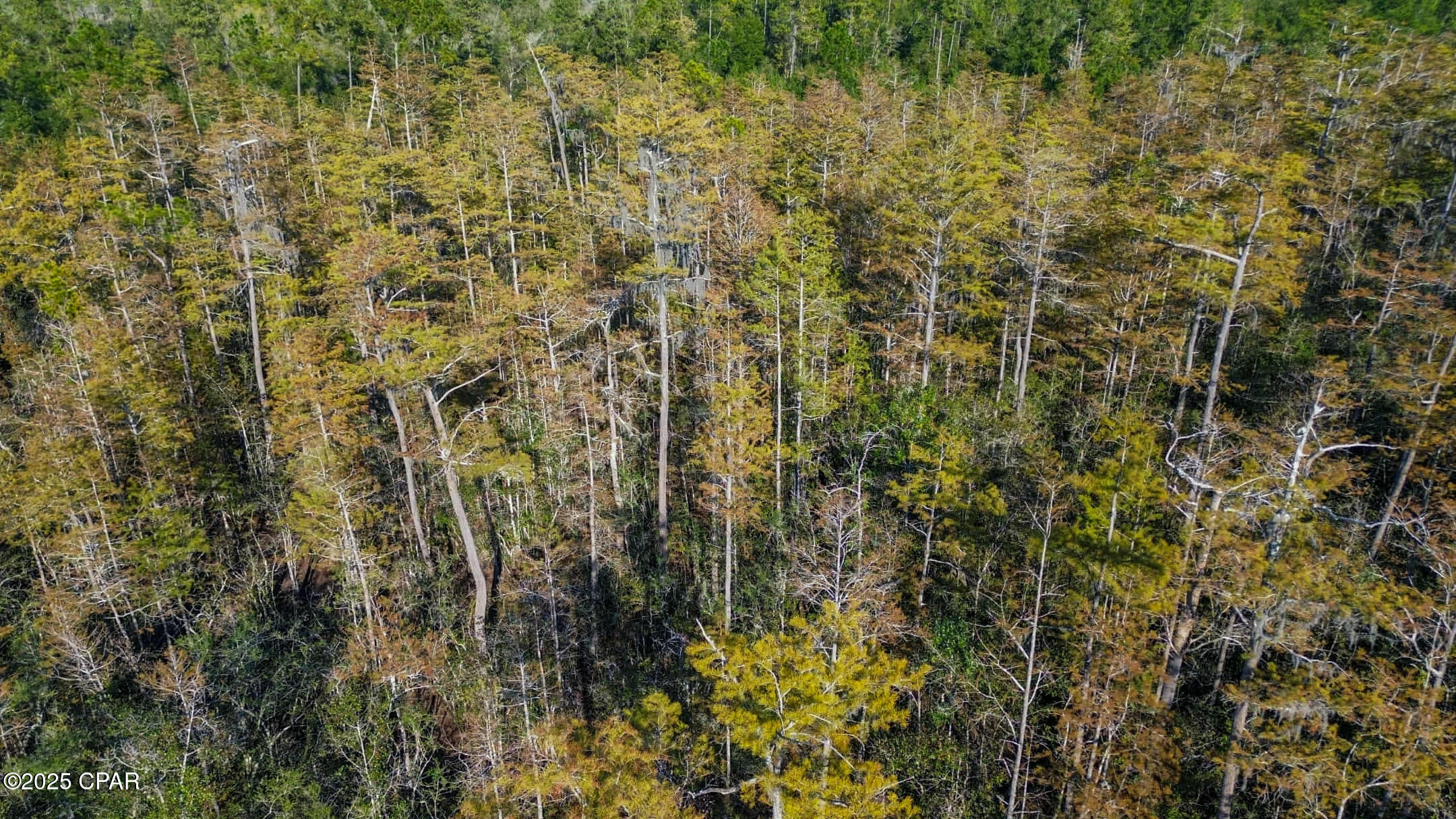 Alford, Florida, 32420, United States, ,Land,For Sale,1994582