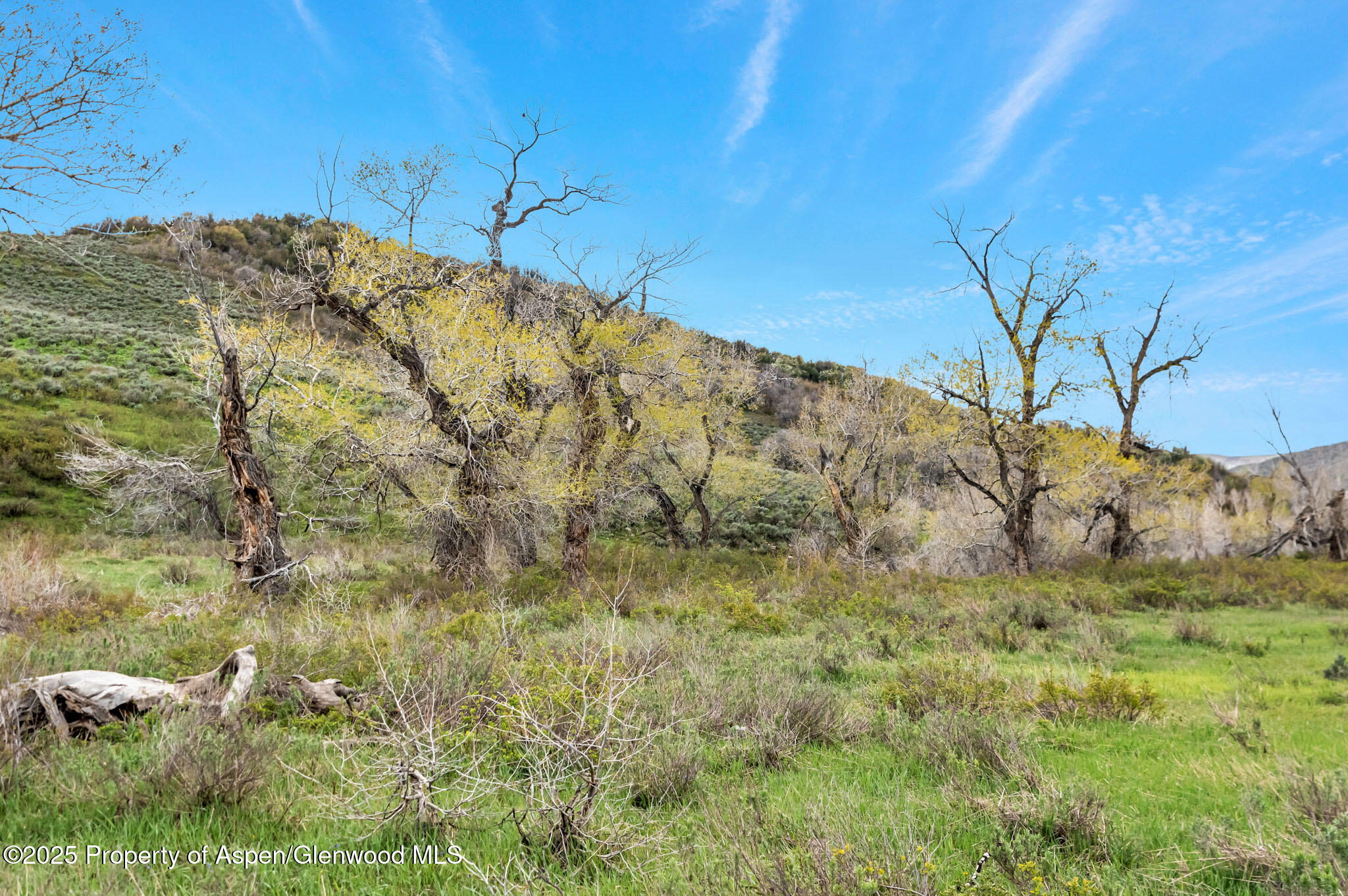 Hayden, Colorado, 81639, United States, ,Residential,For Sale,1901288