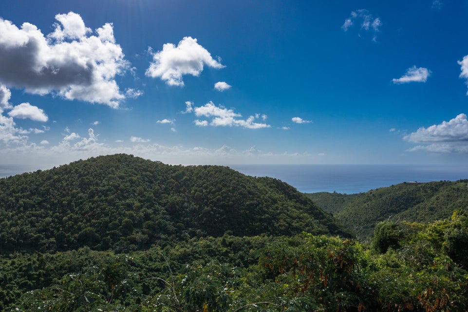 St. Croix, Virgin Islands, 00840, VI, ,Land,For Sale,1792958