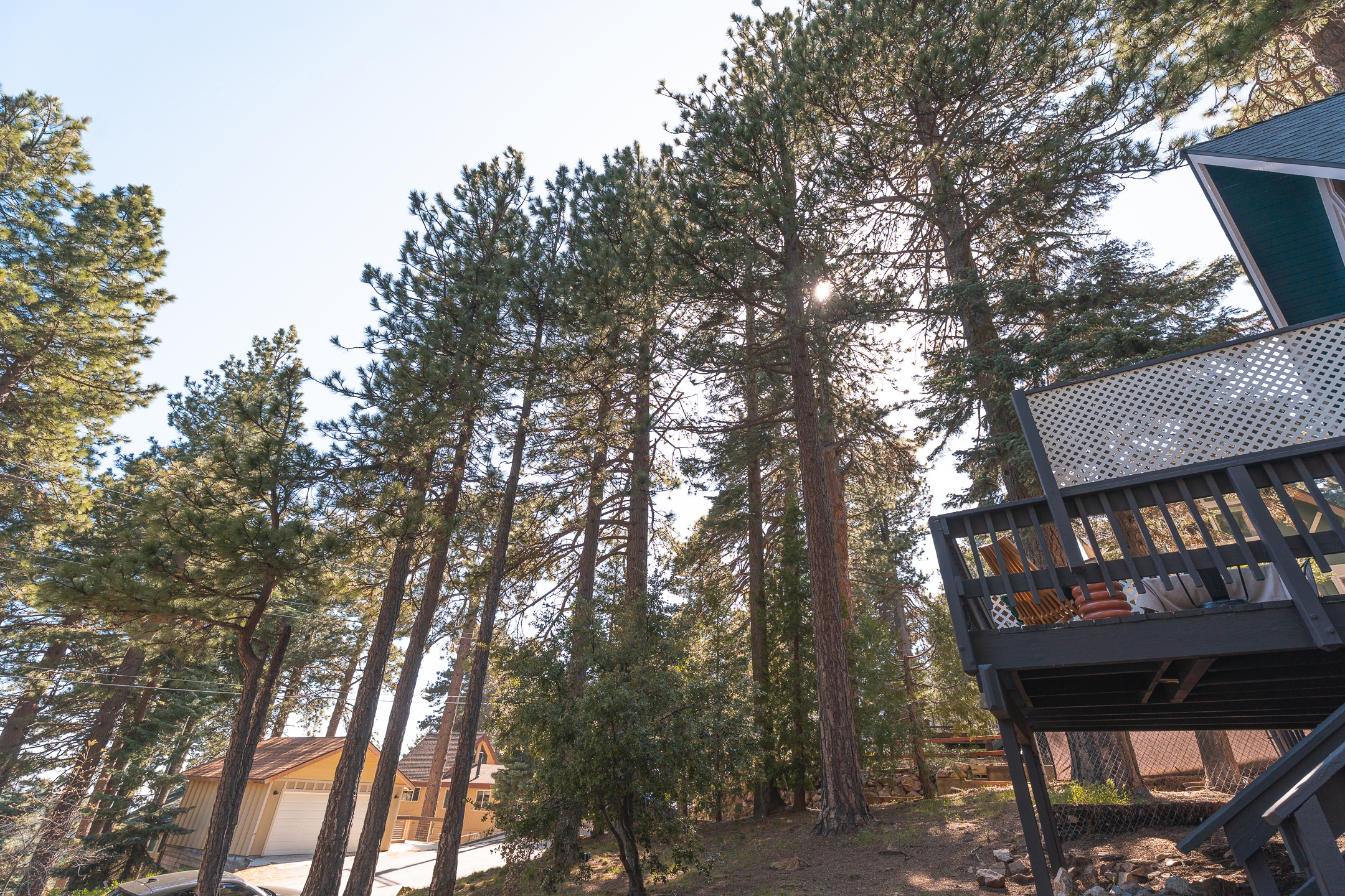  31496 Circle View Drive, Running Springs, CA 92382 - 物件實景