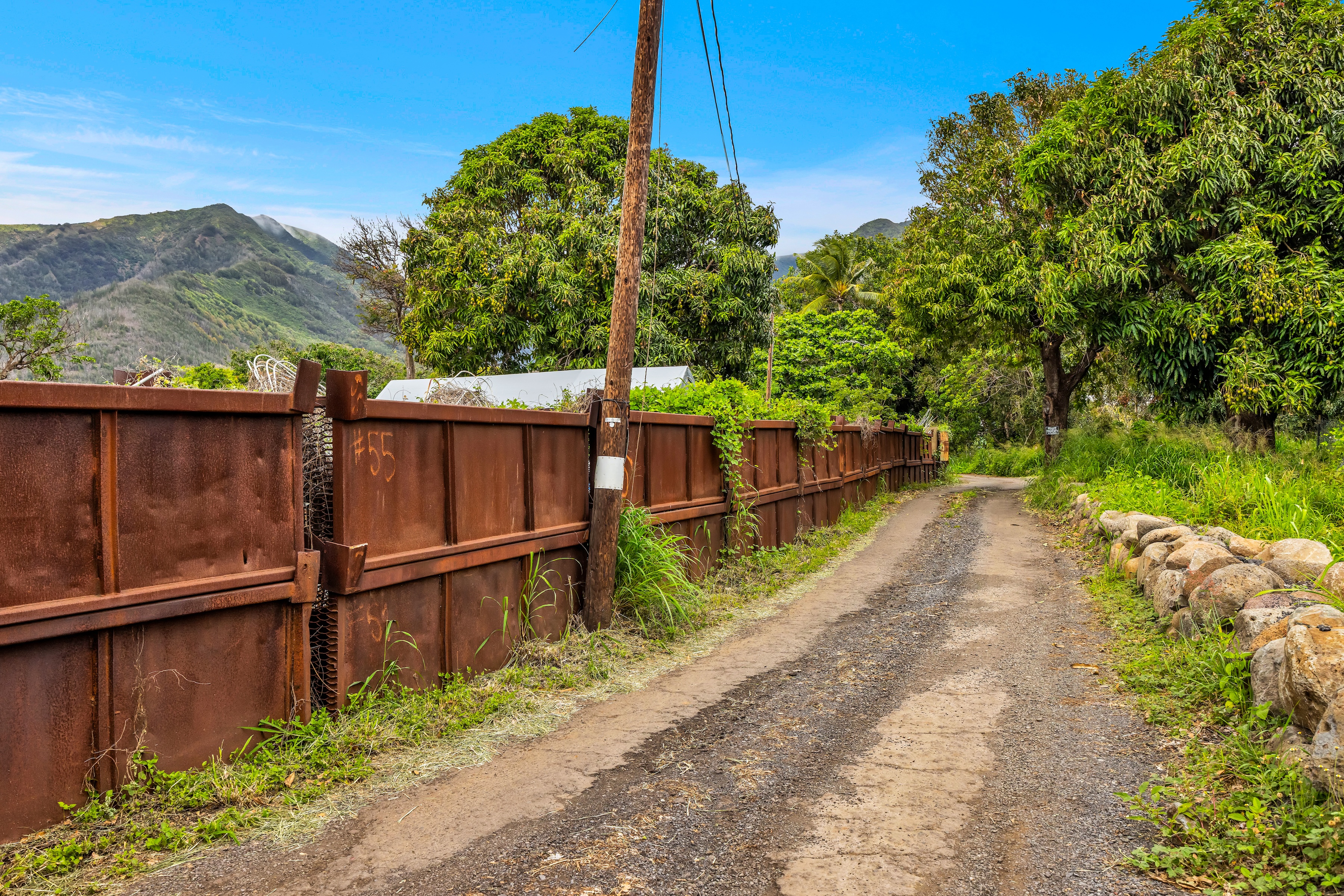  Timeless Plantation Home with Modern Upgrades - 物件實景