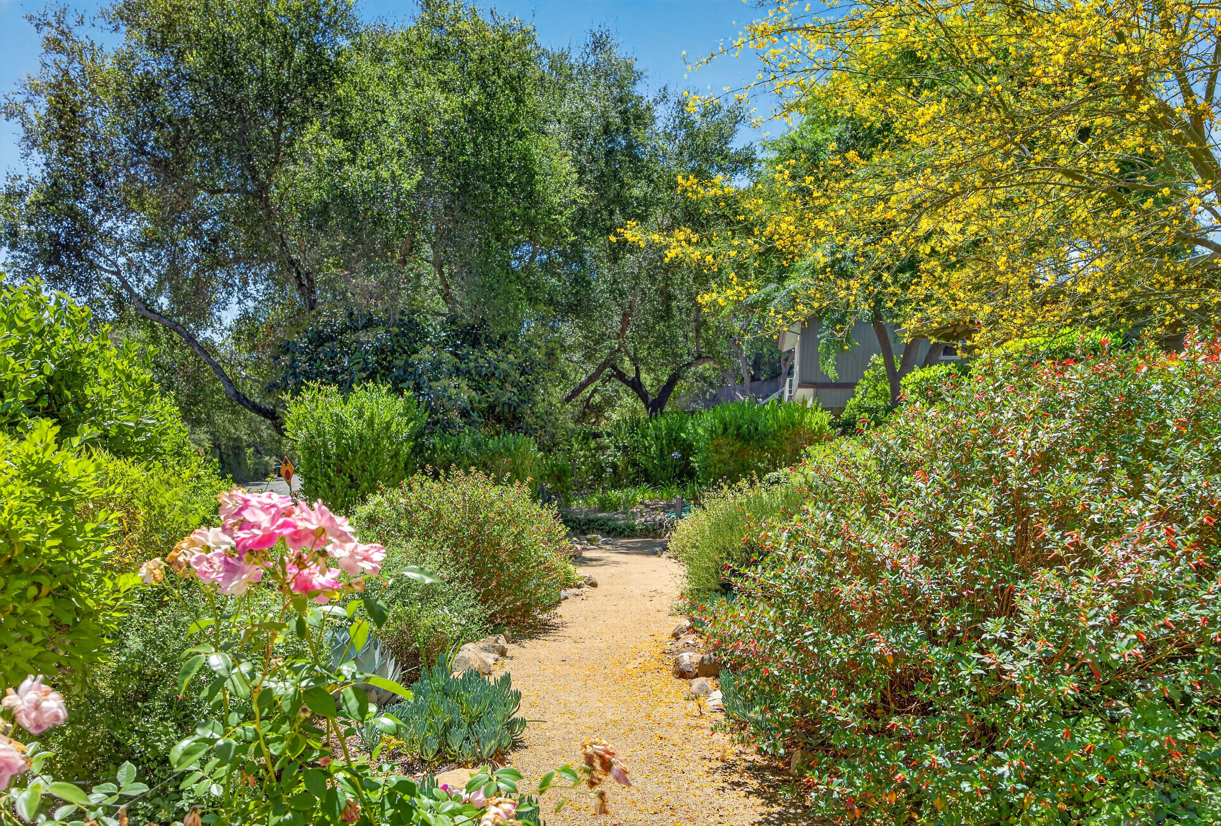  203 Foothill Road, Ojai, CA 93023 - 物件實景