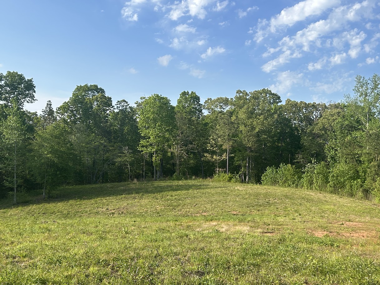 Roopville, Georgia, 30170, United States, ,Residential,For Sale,1780793