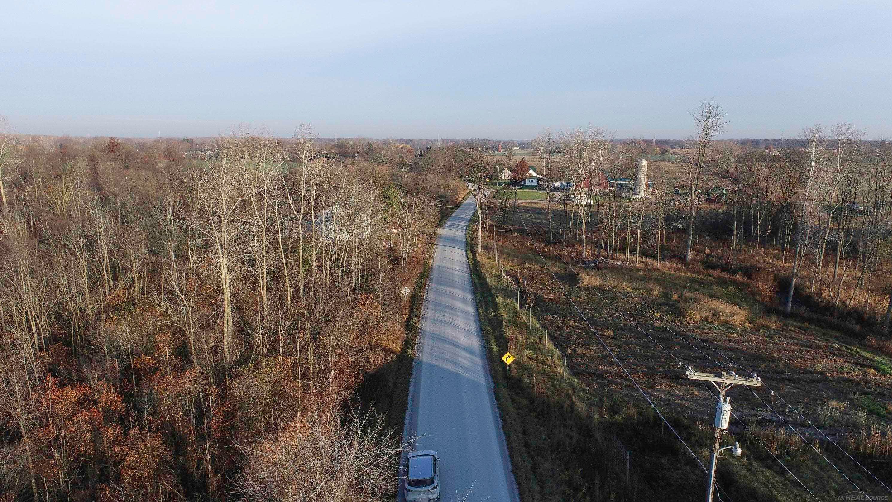 Ray, Michigan, 48096, United States, ,Land,For Sale,1998668