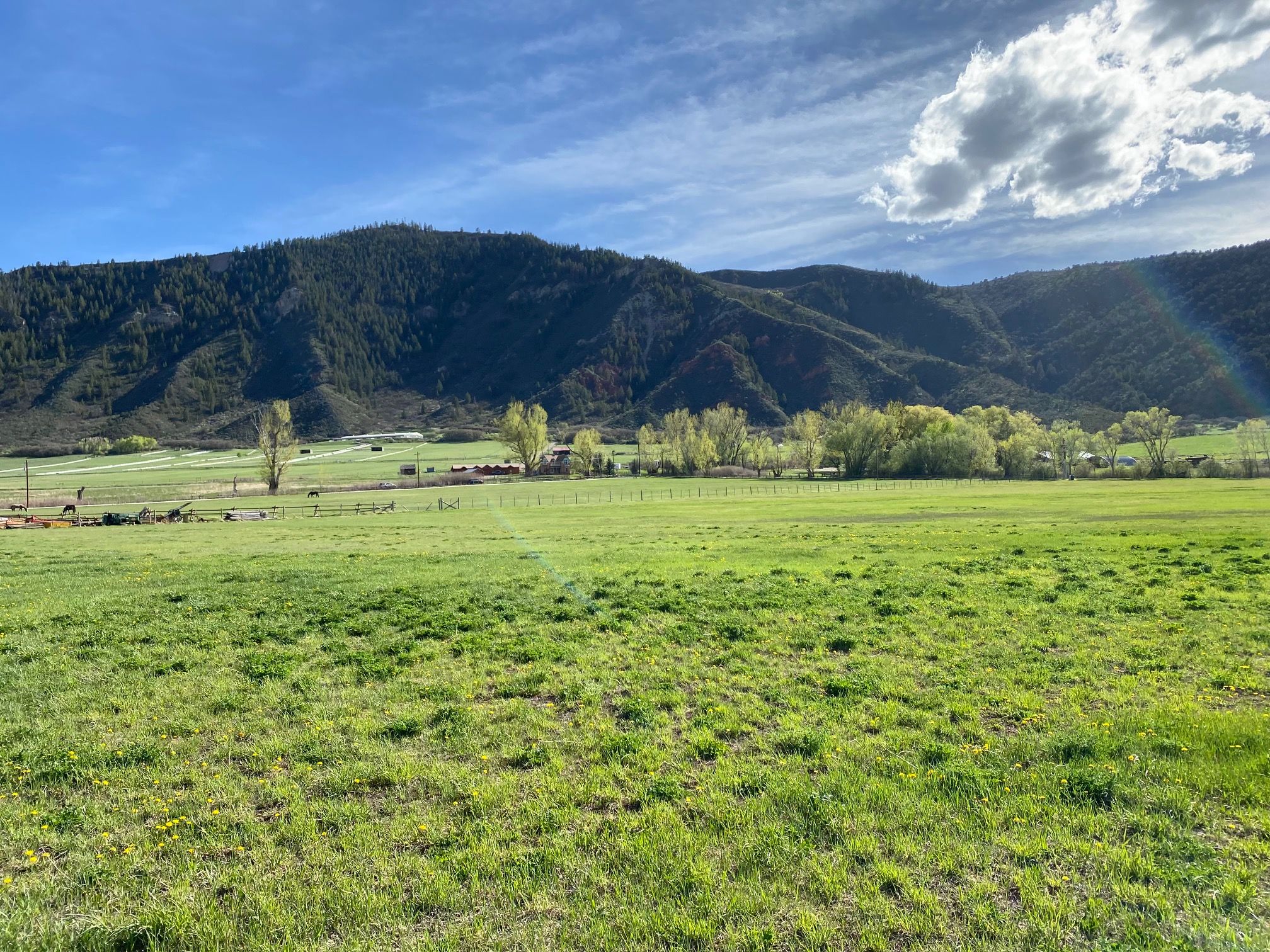  464 Hooks Lane, Basalt, CO, 81621 - 物件實景