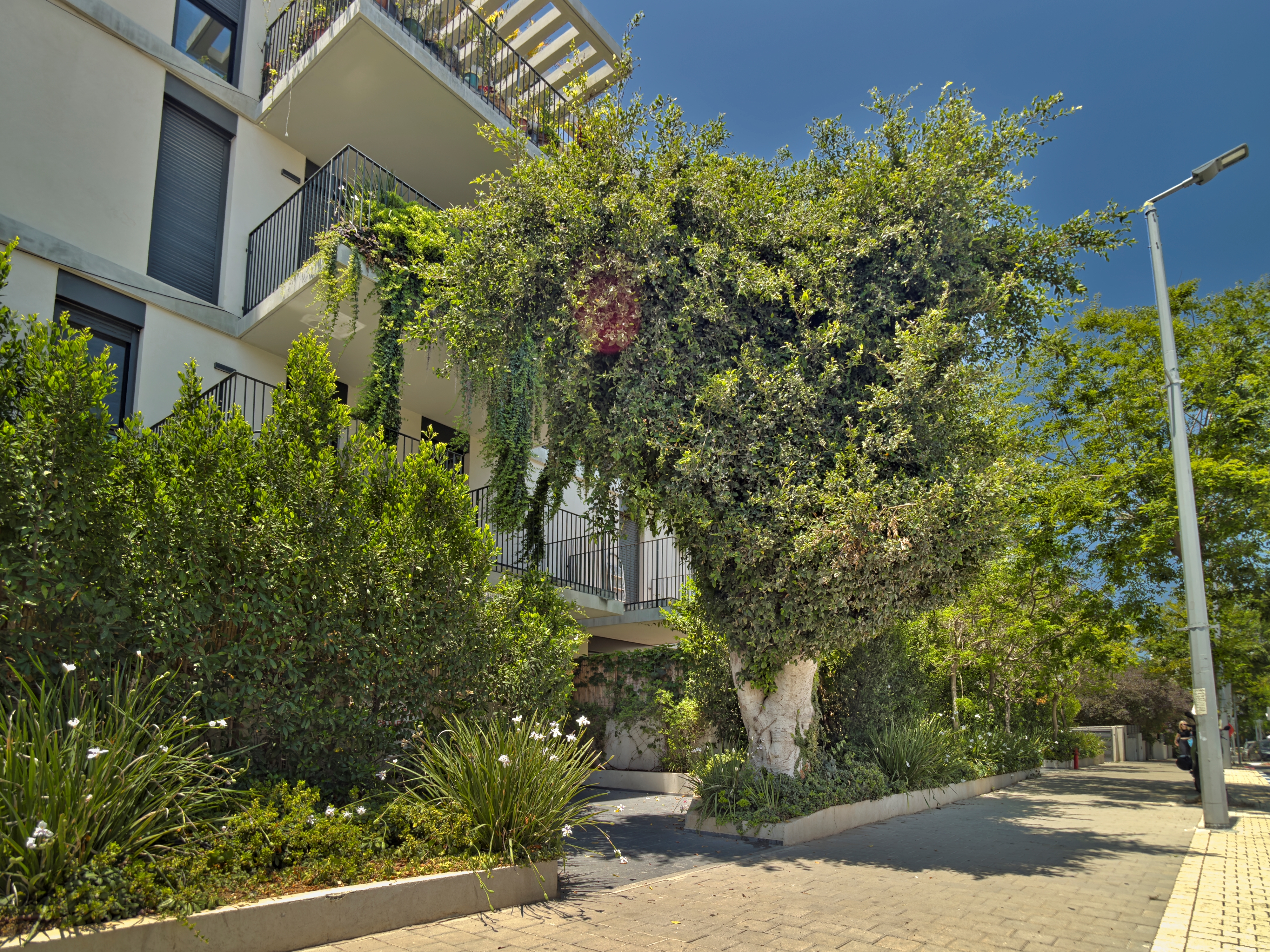  Garden Living at Its Finest  An Exceptional Residence in Ramat Hahayal - 物件實景