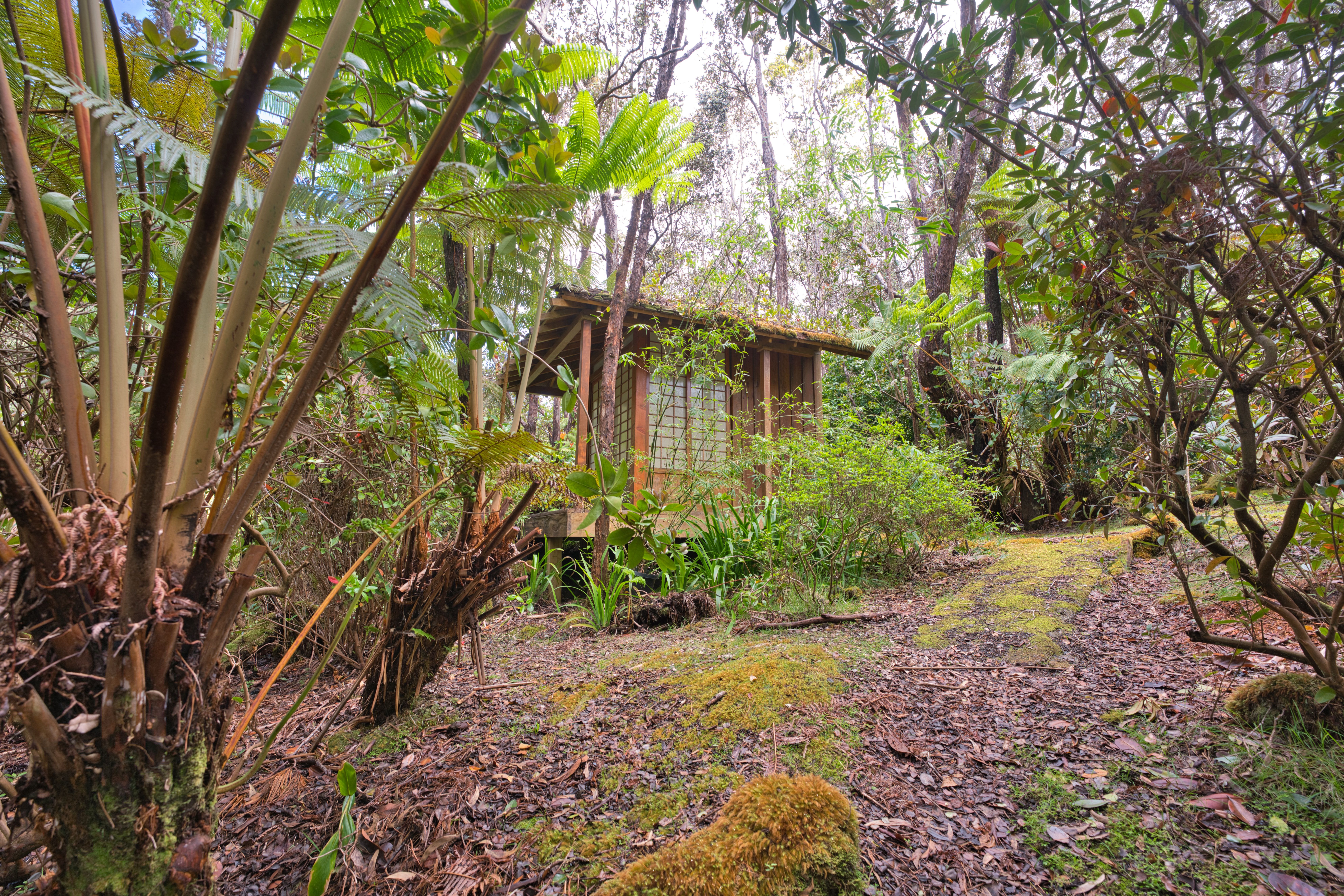  19-4153 Alanui Iiwi, Volcano, HI, 96785 - 物件實景
