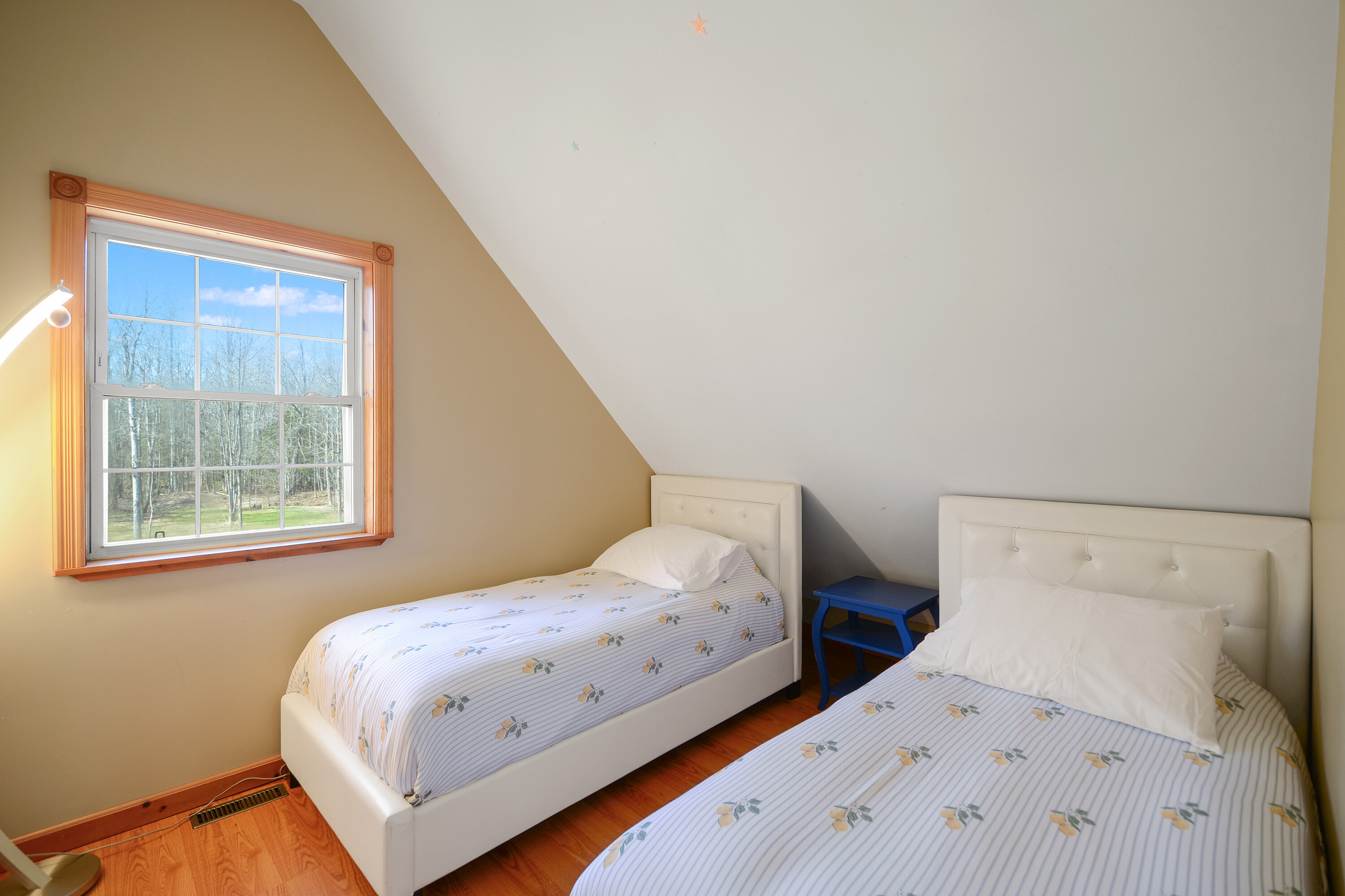  93 Pristine Acres of Privacy - 物件實景