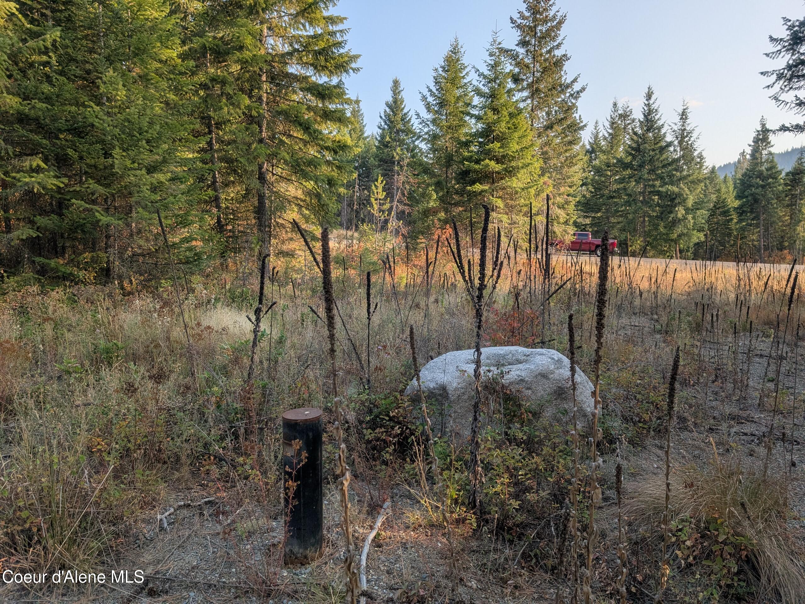 Spirit Lake, Idaho, 83869, United States, ,Land,For Sale,1981864