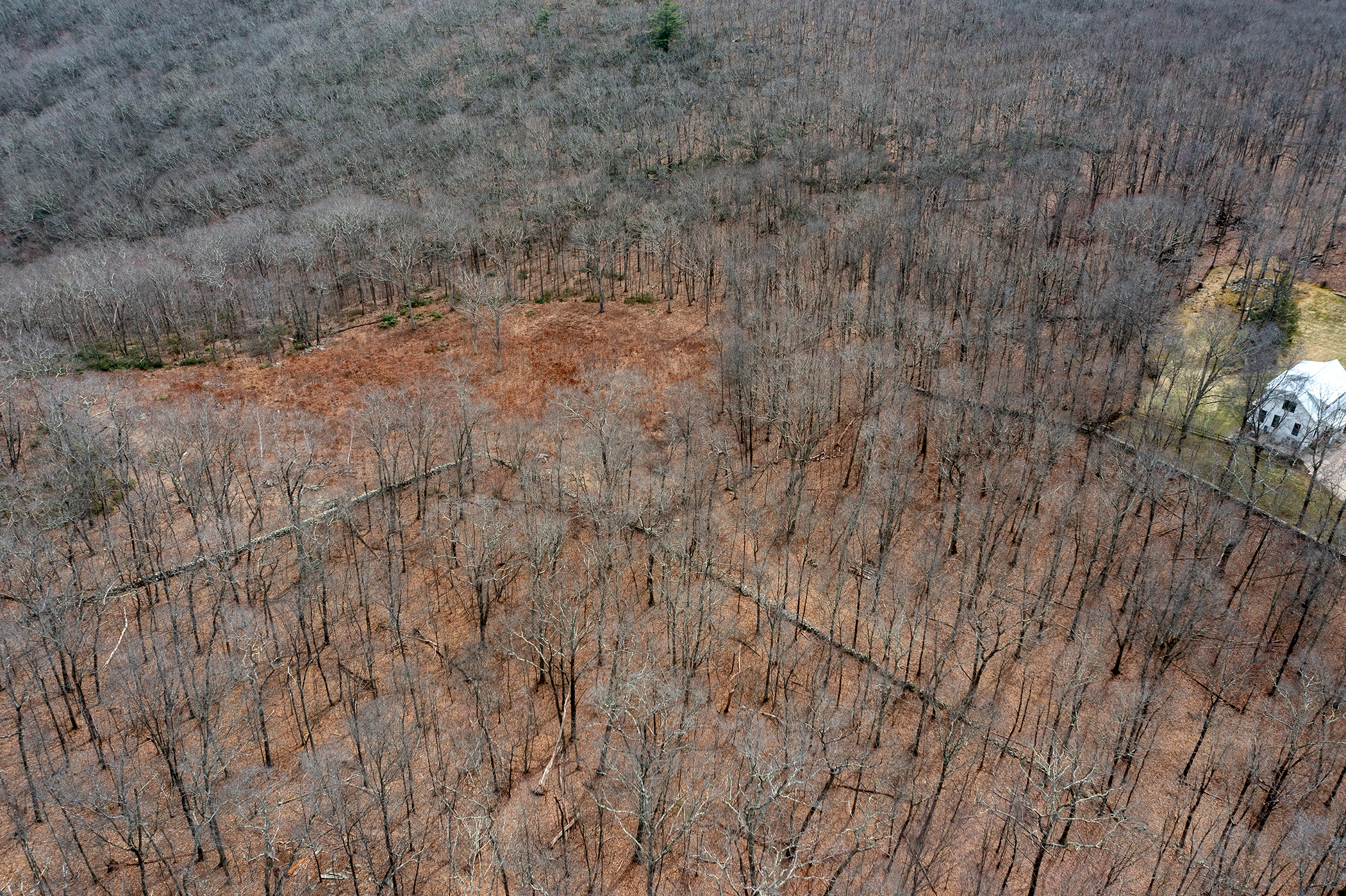  197 Tinker Hill Road - 物件實景