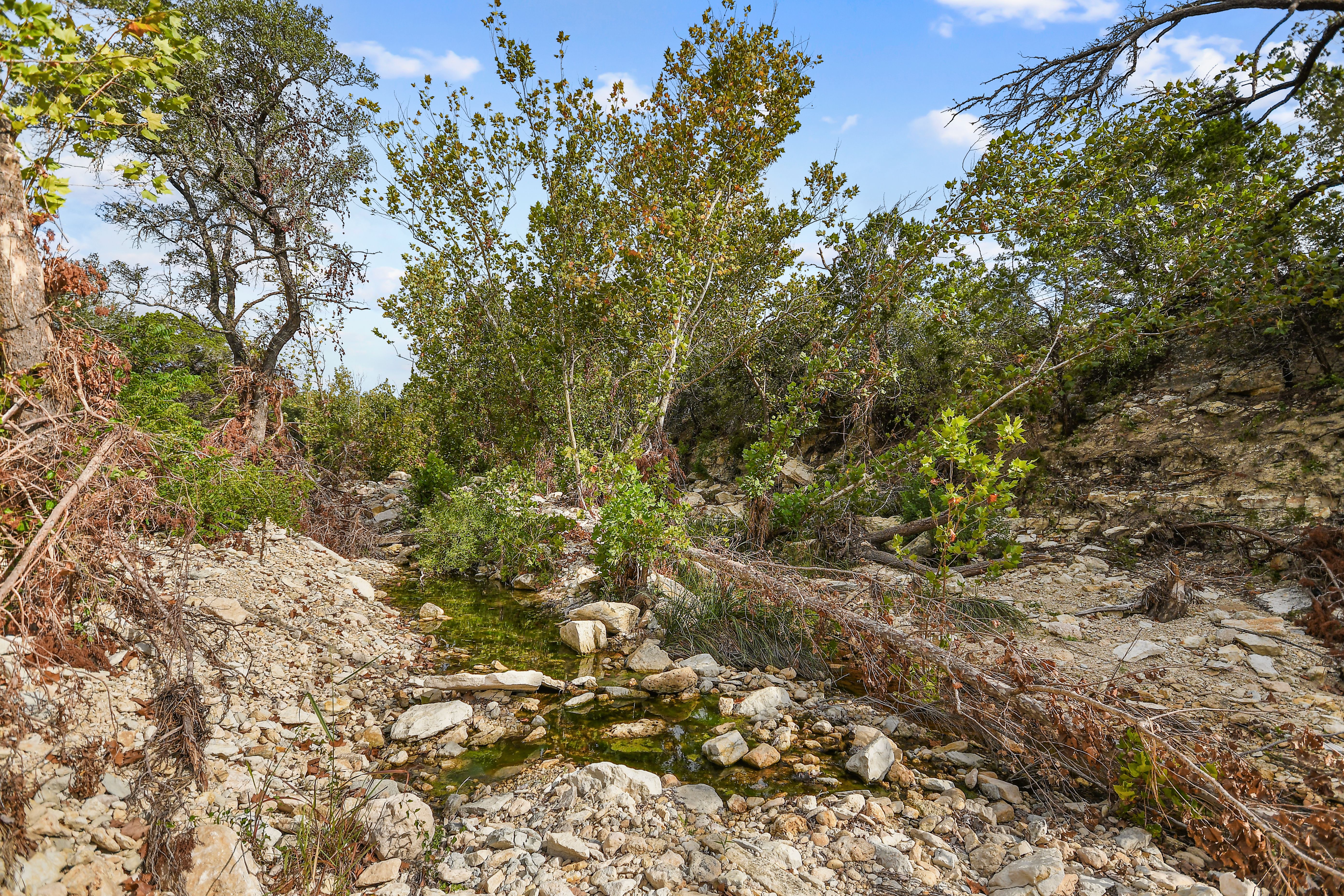  TBD Hwy 46 / Madrona Ranch Road, Pipe Creek, TX 78063 - 物件實景