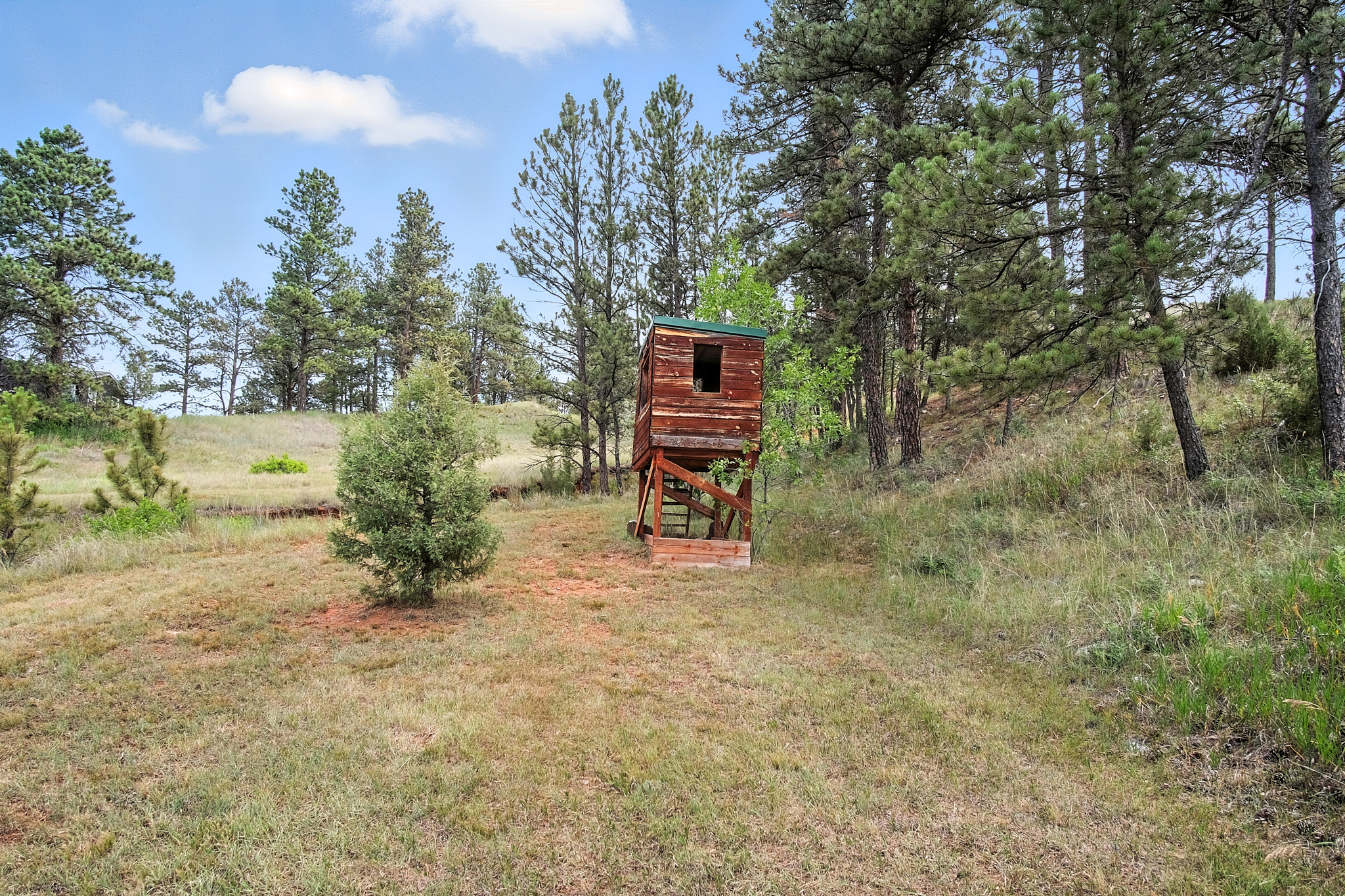 Hot Springs, South Dakota, 57747, United States, 4 Bedrooms Bedrooms, ,2 BathroomsBathrooms,Residential,For Sale,1888090