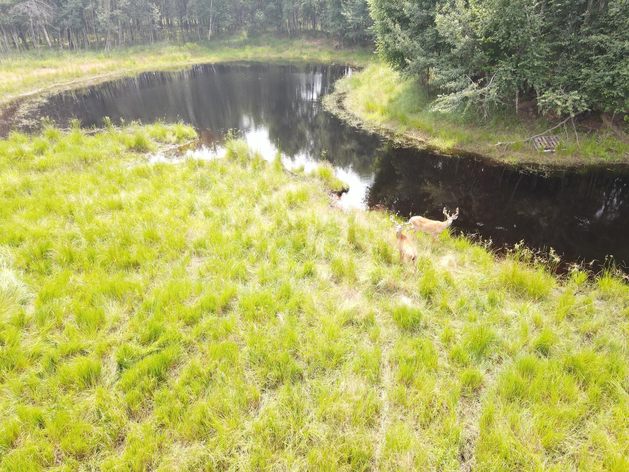 Lake Tomahawk, Wisconsin, 54487, United States, ,Residential,For Sale,1973874