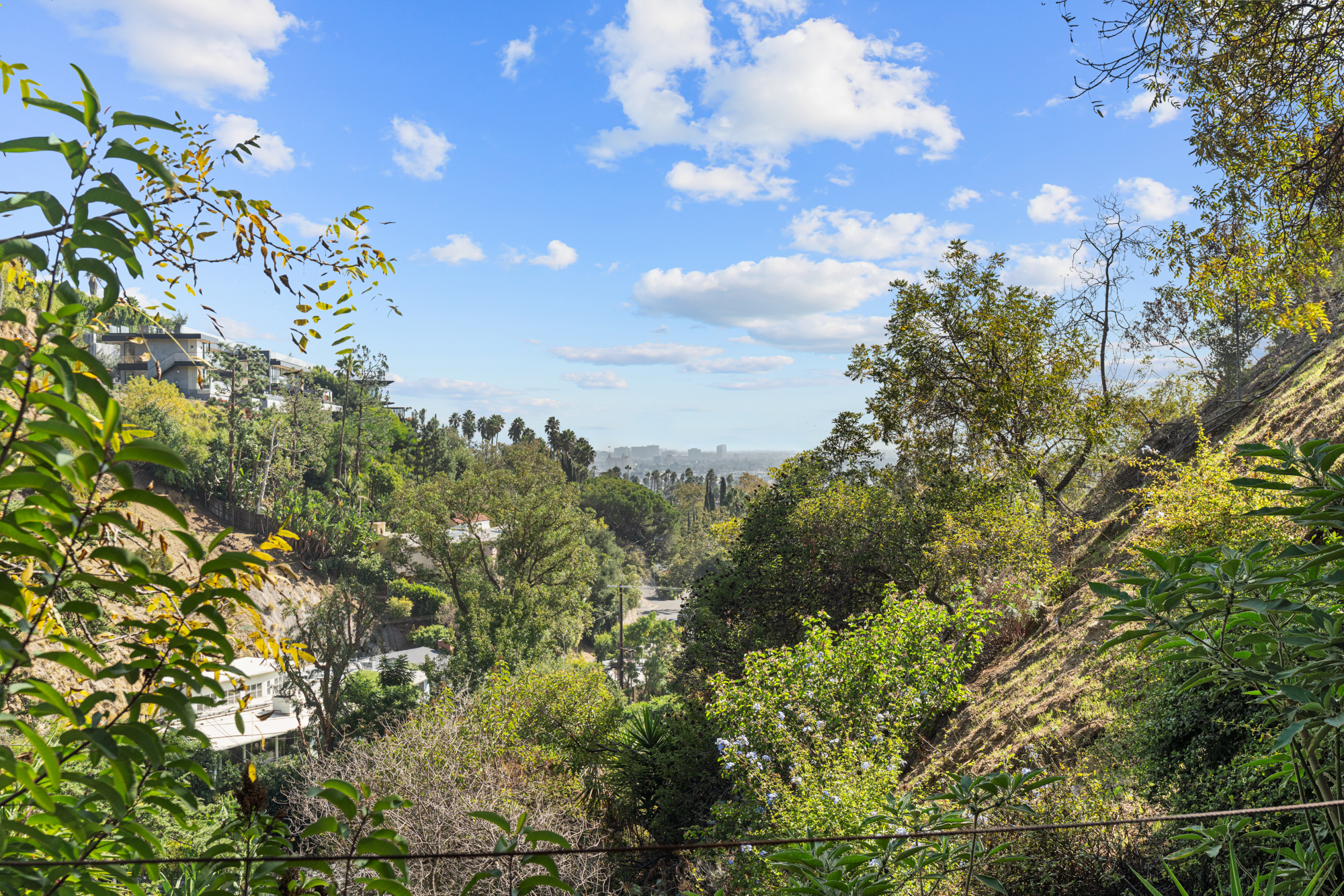  1853 Nichols Canyon Rd - 物件實景