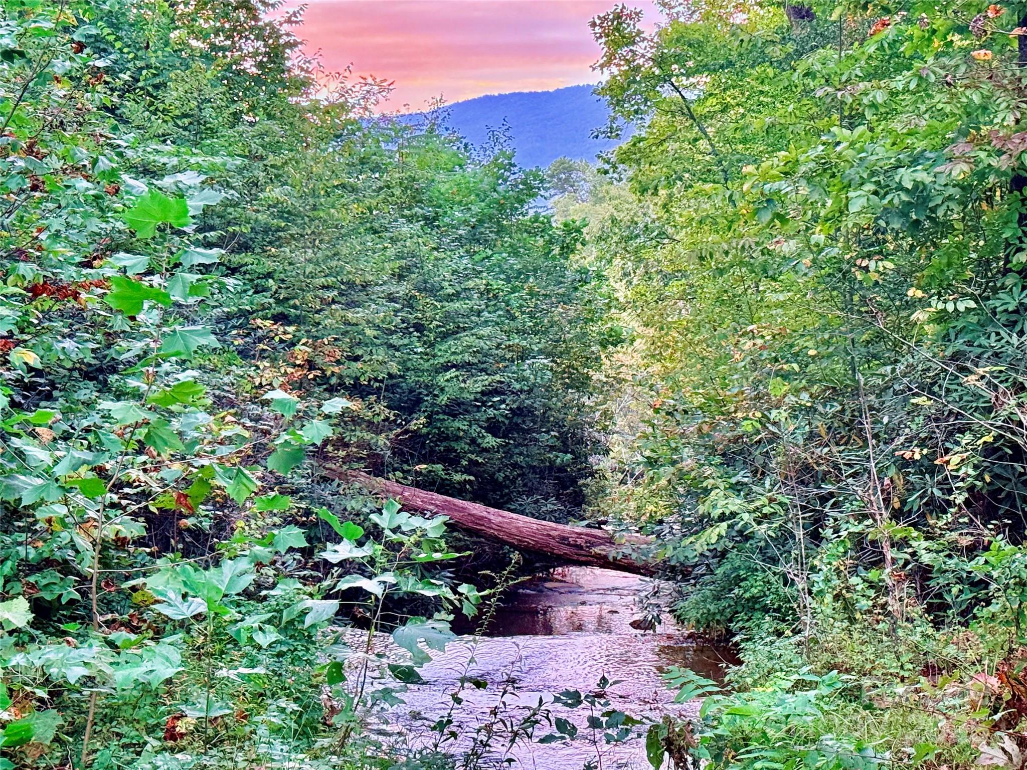 Union Mills, North Carolina, 28167, United States, ,Land,For Sale,2002510