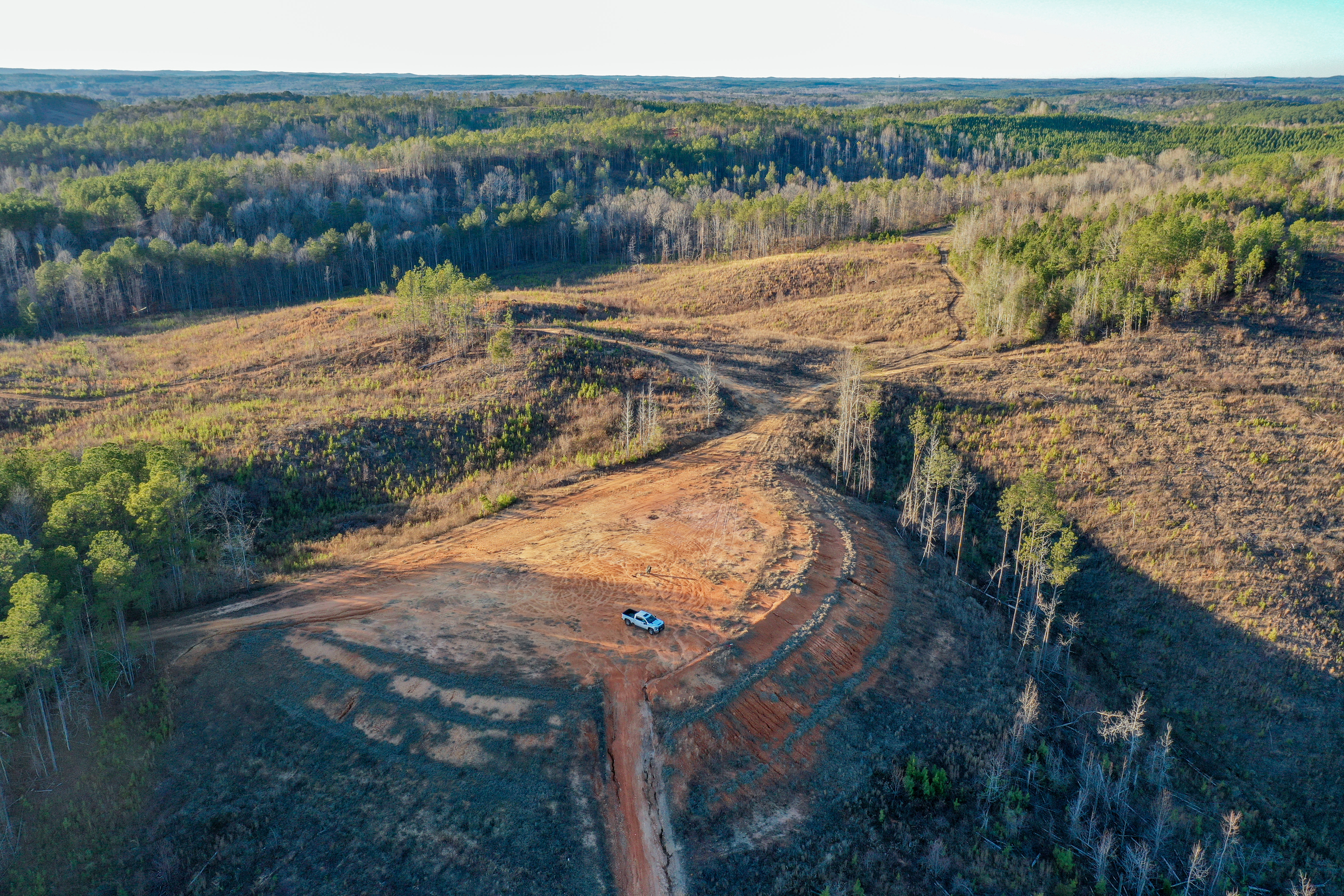 Centreville, Alabama, 35042, United States, ,Land,For Sale,2010430