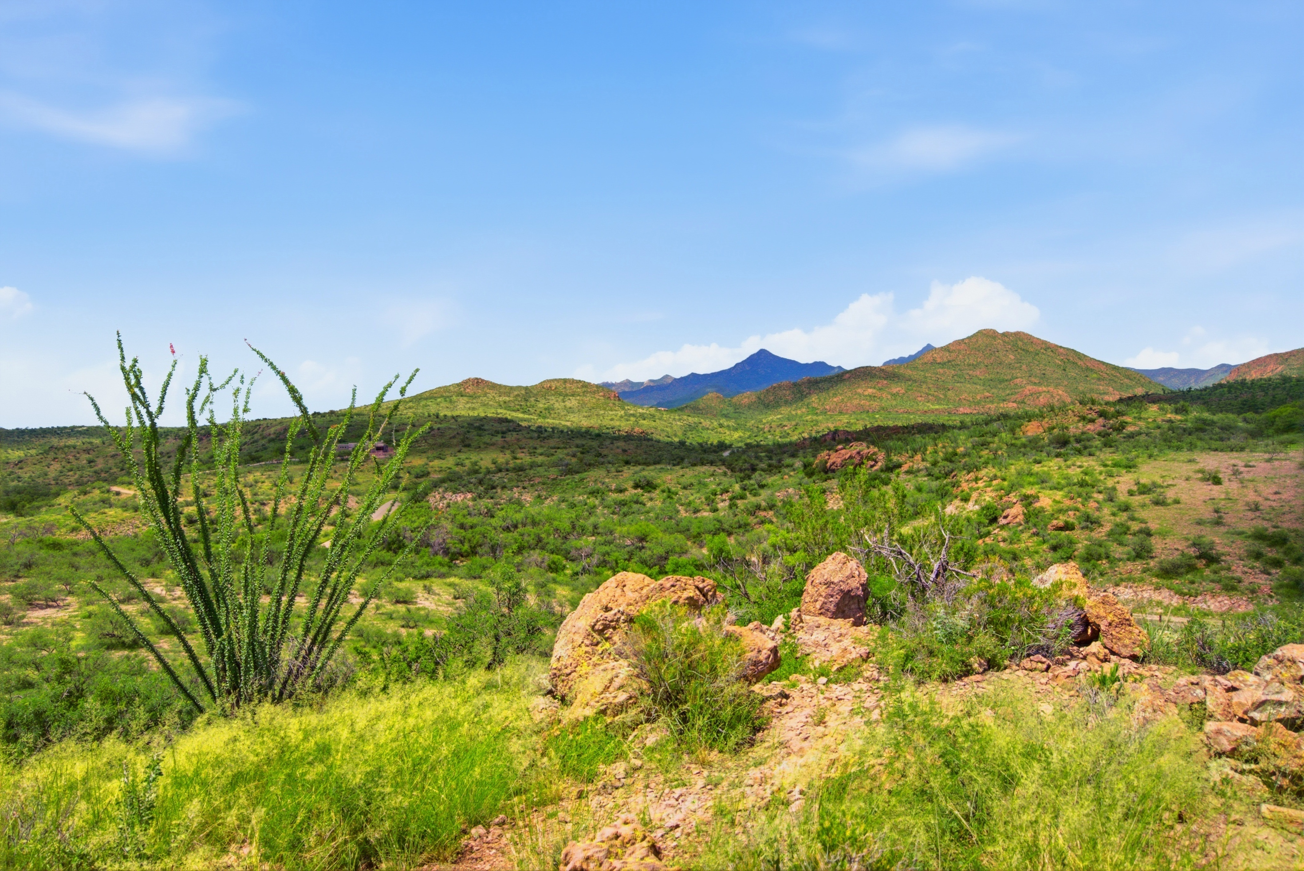  1163 Morning Star Drive¦Rio Rico, AZ - 物件實景