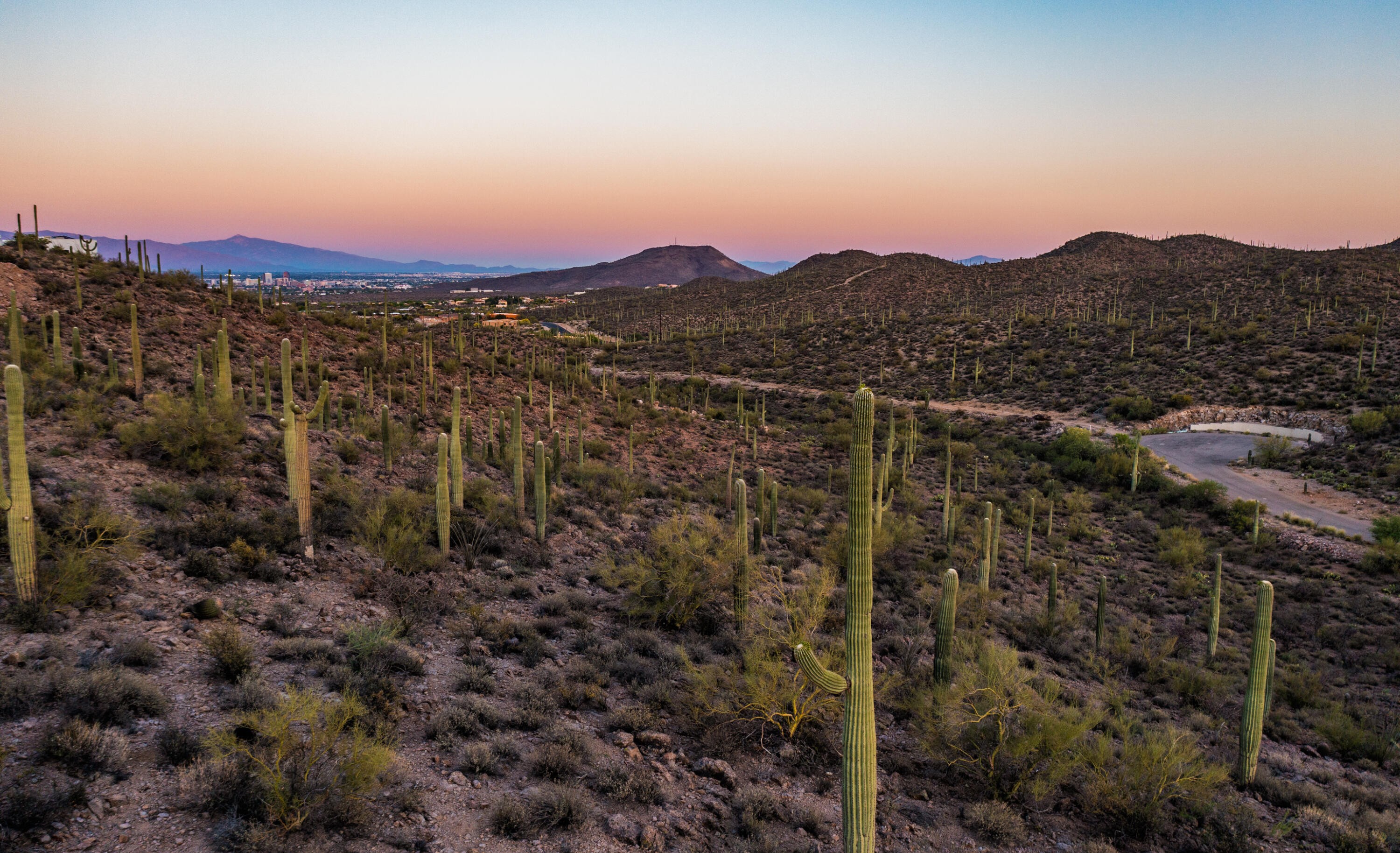  1688 N Enclave Place¦Tucson, AZ - 物件實景