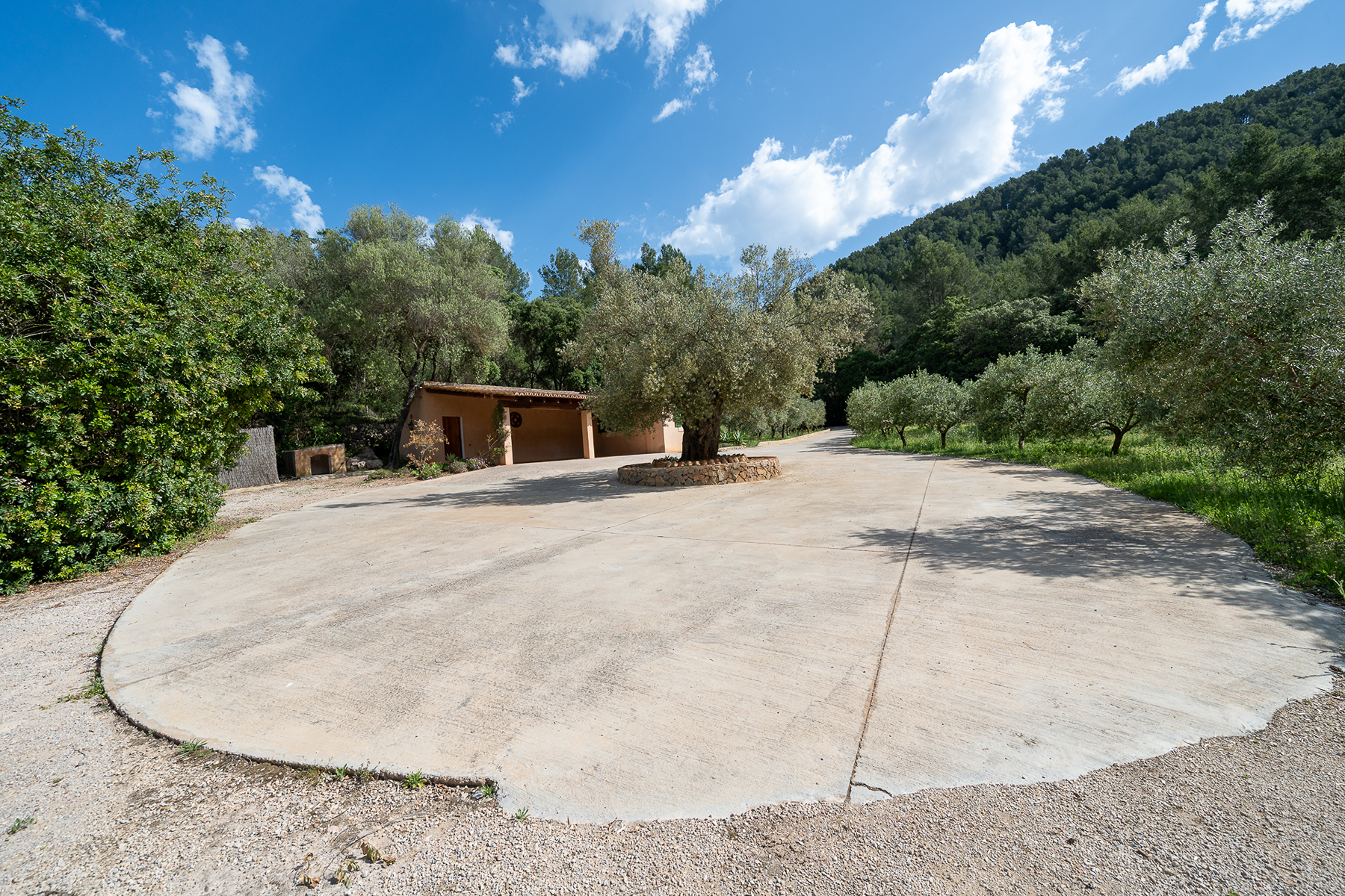  Country house with pool and mountain views in Esporlas - 物件實景