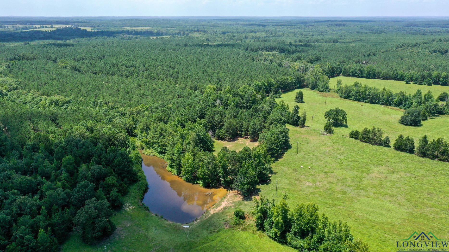 Linden, Texas, 75563, United States, 3 Bedrooms Bedrooms, ,3 BathroomsBathrooms,Residential,For Sale,1974630