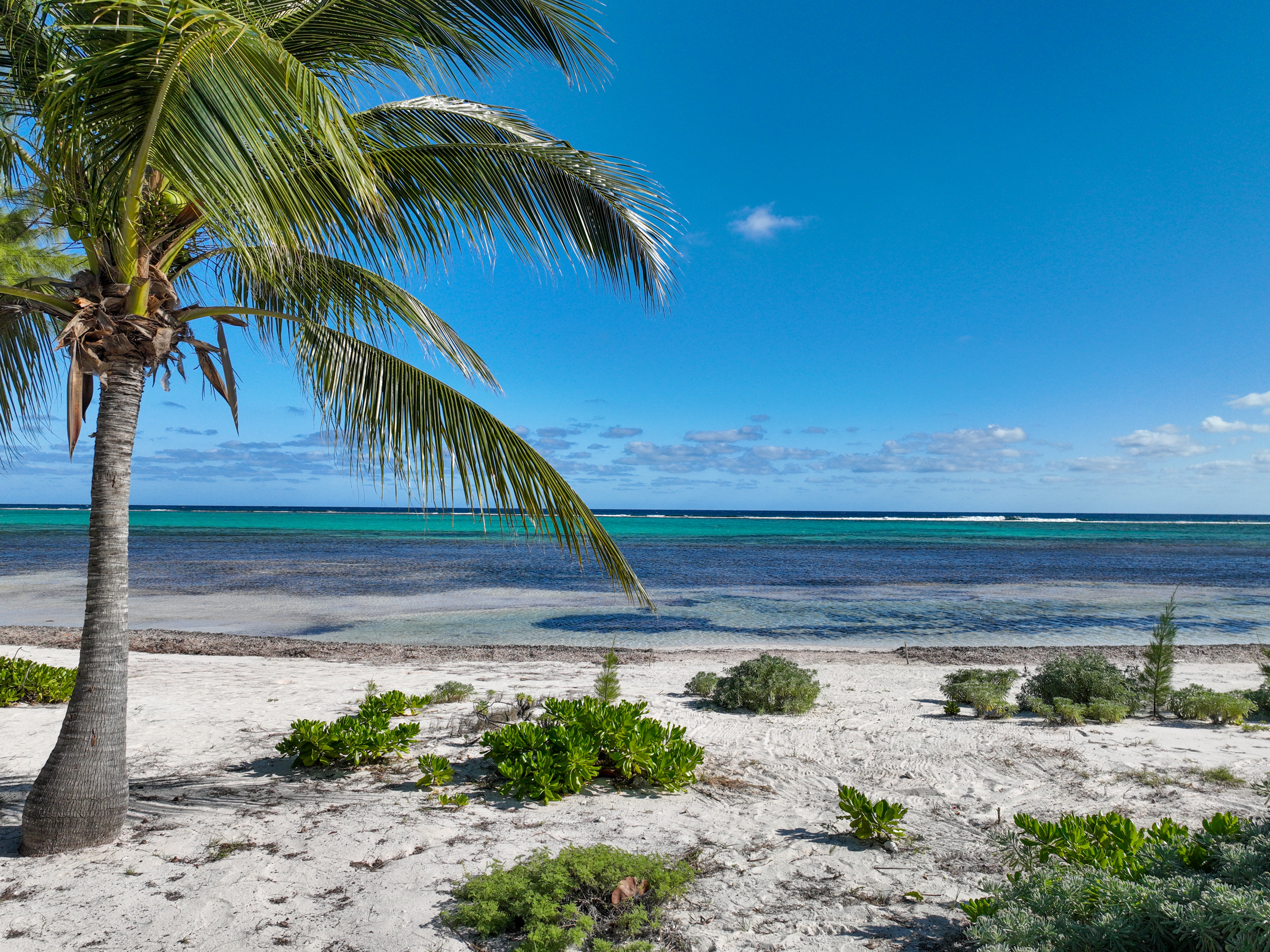  Prime Beachfront Land - 物件實景