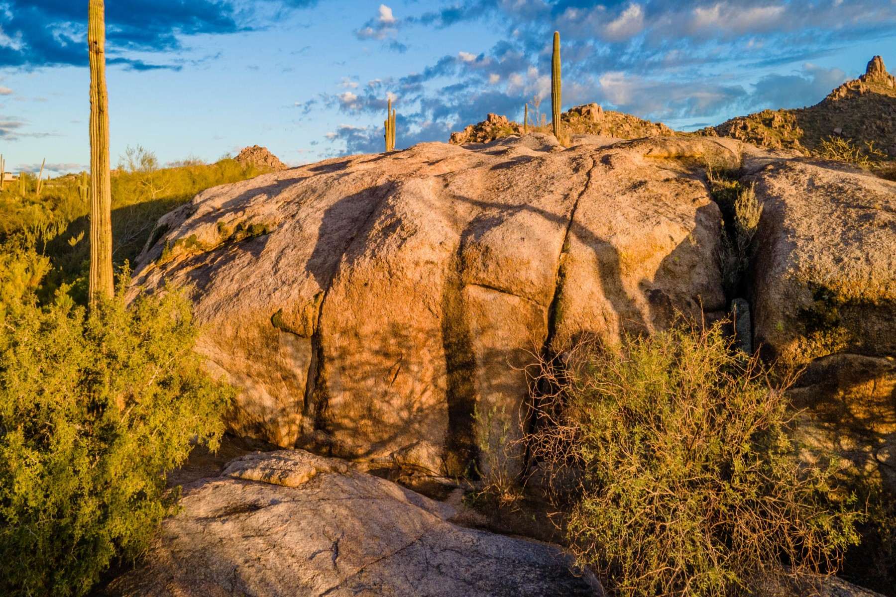  27777 N 95th Street  Scottsdale, AZ - 物件實景