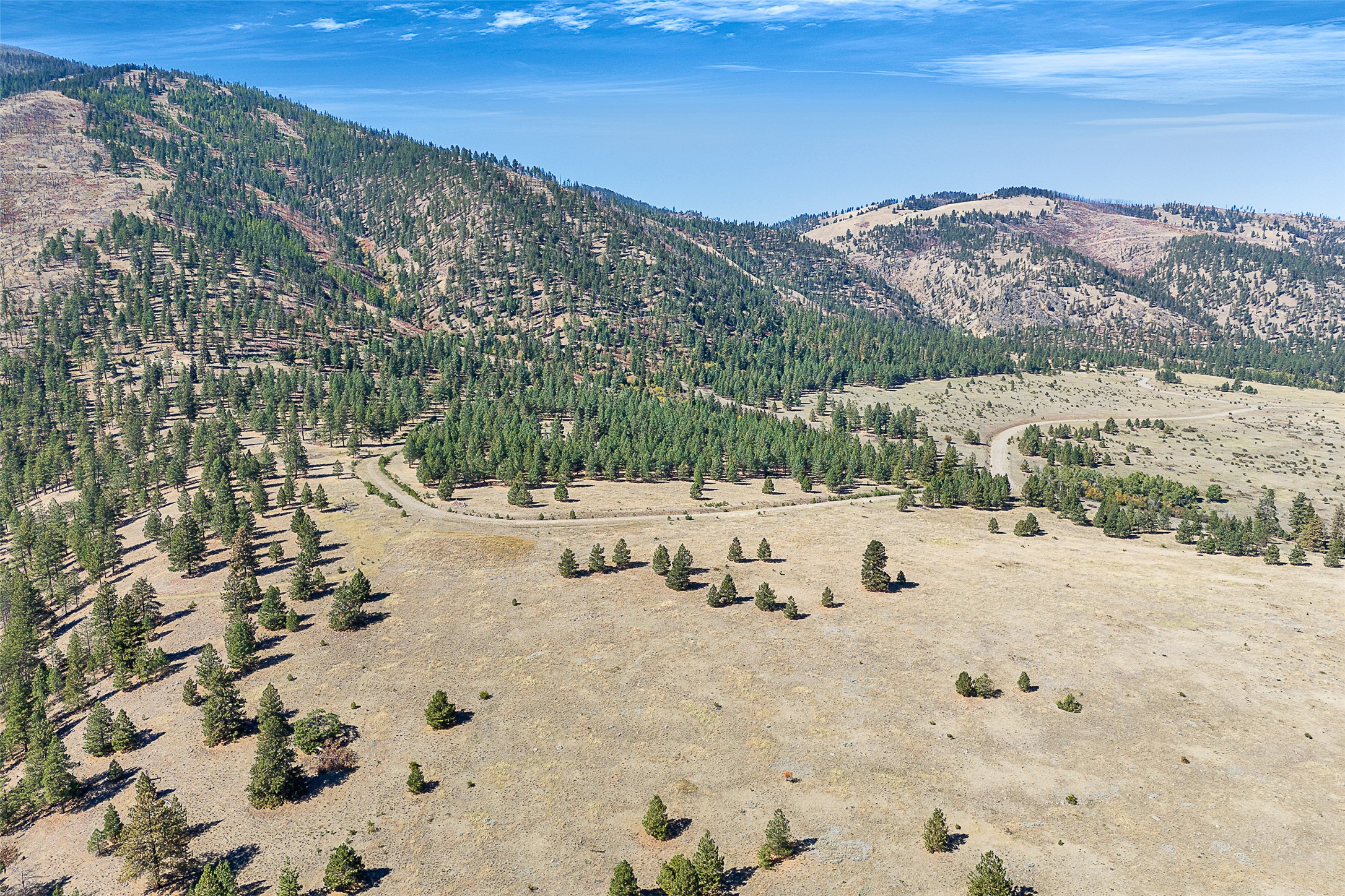  000 Elk Mountain Reserve, Florence, MT, 59833 - 物件實景