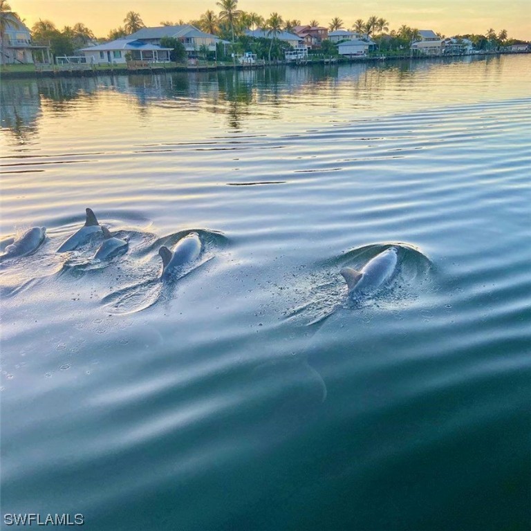 FORT MYERS BEACH, Florida, 33931, United States, ,Residential,For Sale,1938409
