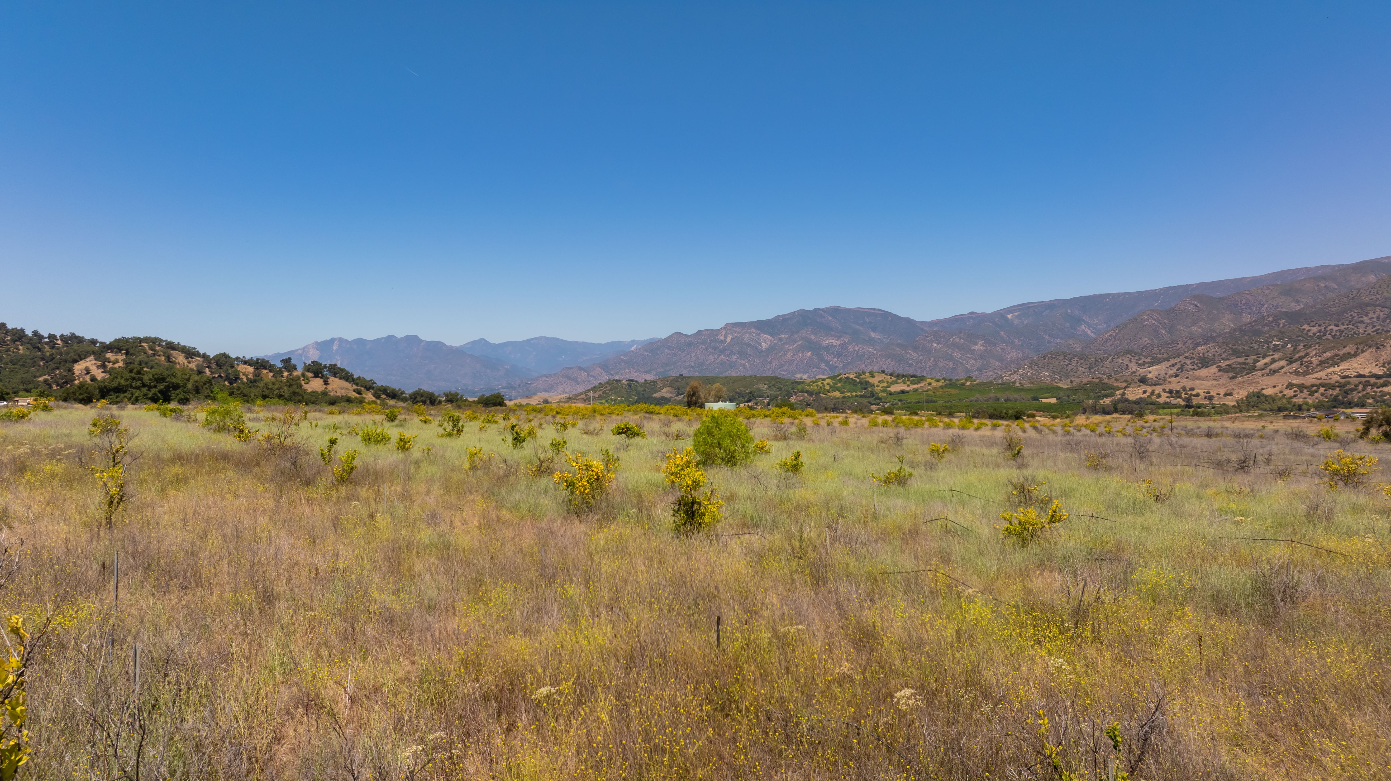  12400 Ojai Santa Paula Road, Ojai, CA 93023 - 物件實景