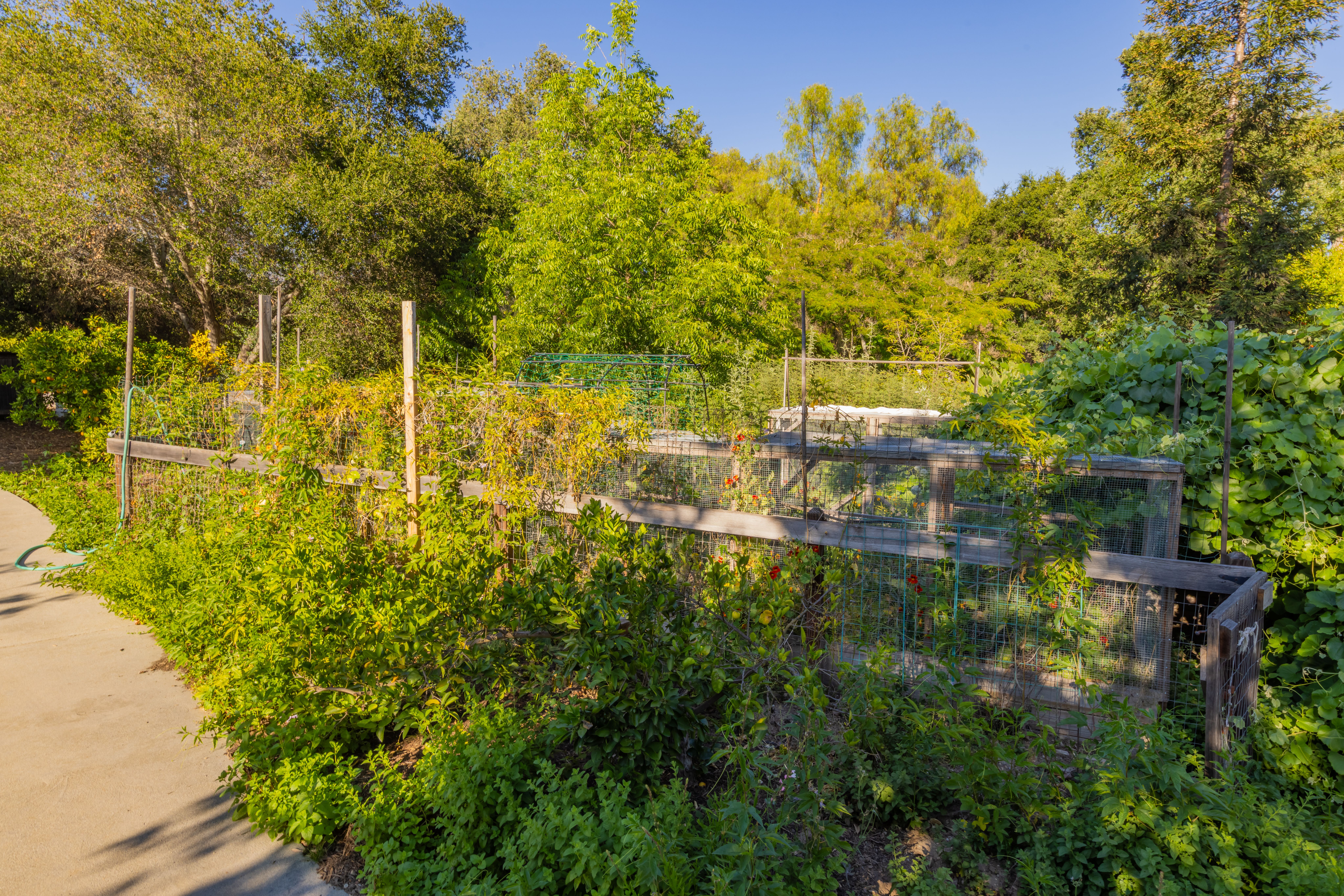  1450 Grand Avenue, Ojai, CA 93023 - 物件實景
