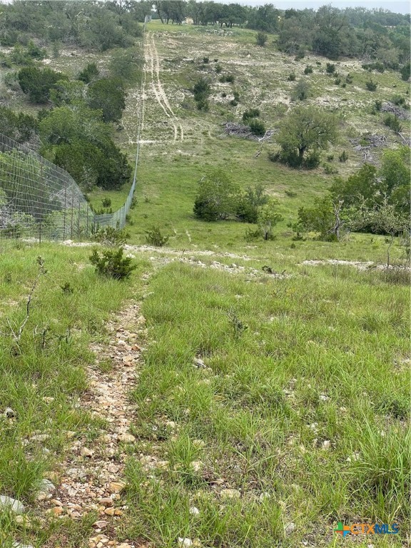 Blanco, Texas, 78606, United States, ,Land,For Sale,1877440
