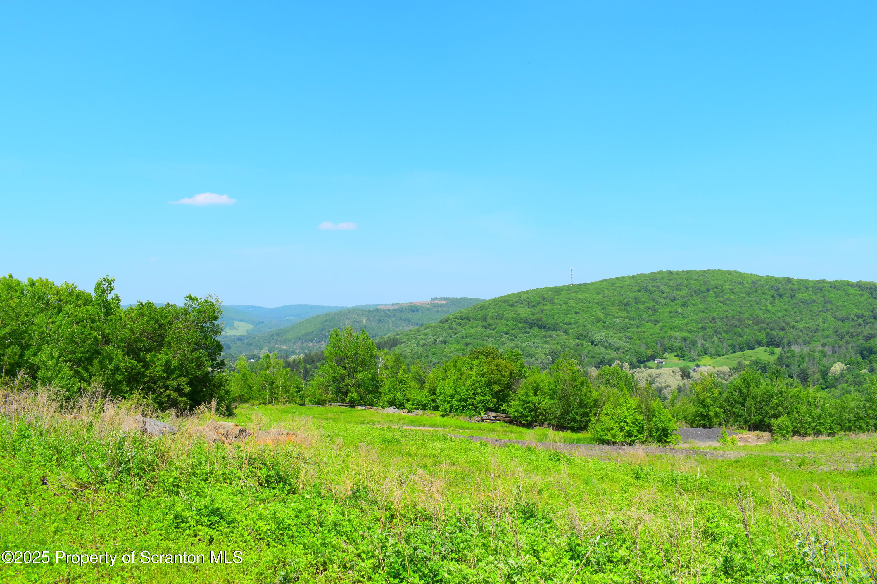 State Route 92, Susquehanna, Pennsylvania, 18847, United States, ,Land,For Sale,State Route 92,1665959
