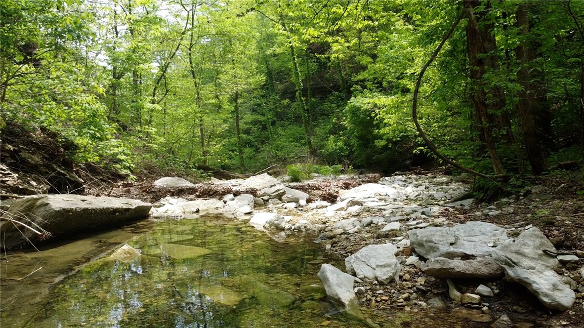 Garfield, Arkansas, 72732, United States, ,Land,For Sale,1804669