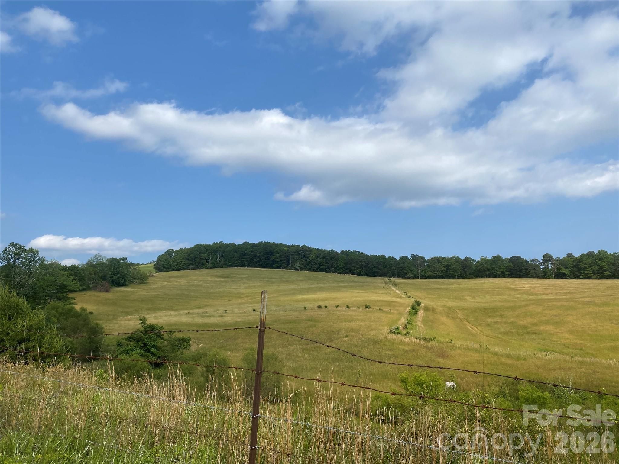 Hendersonville, North Carolina, 28792, United States, ,Land,For Sale,2010421