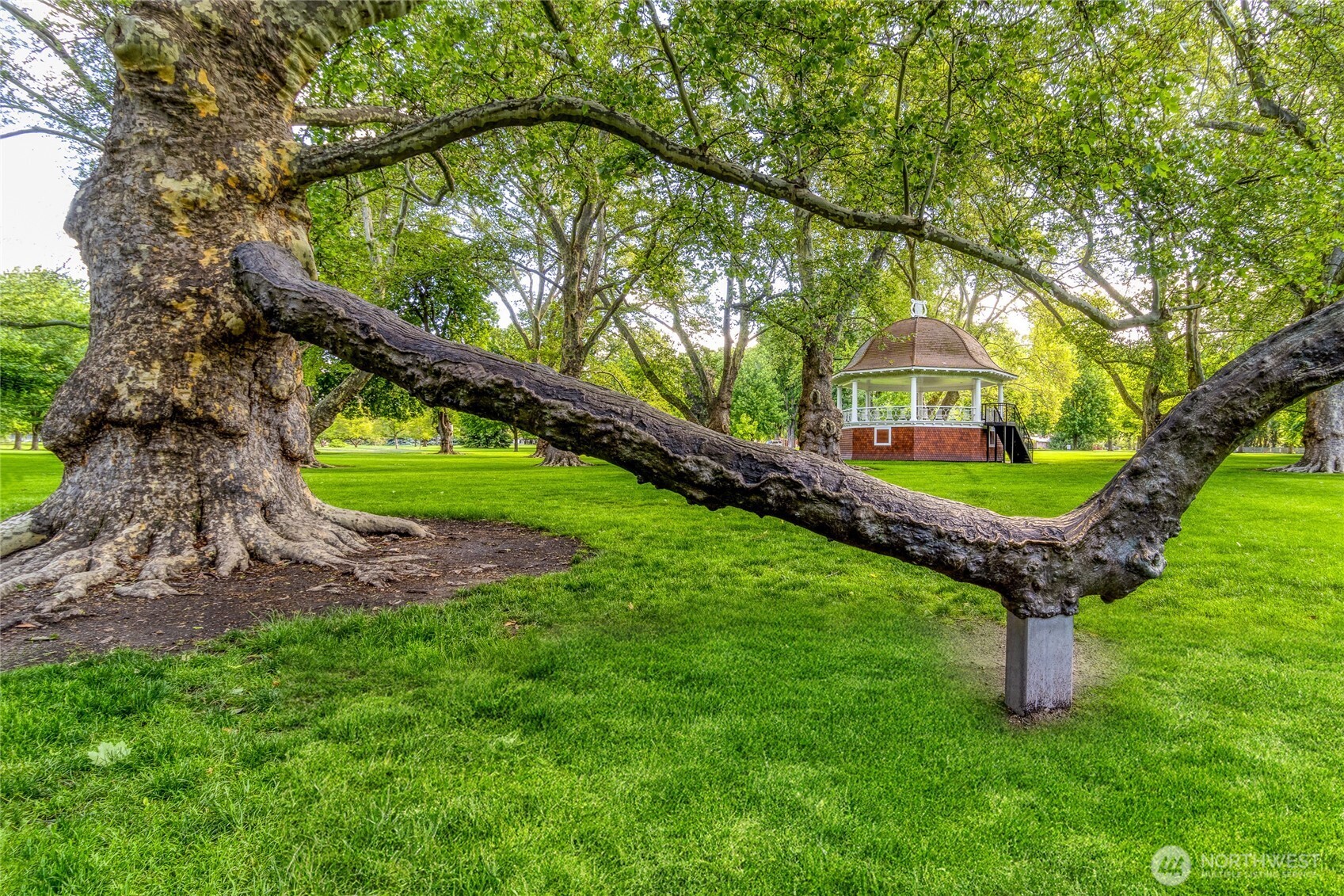 Walla Walla, Washington, 99362, United States, 4 Bedrooms Bedrooms, ,2 BathroomsBathrooms,Residential,For Sale,1868266