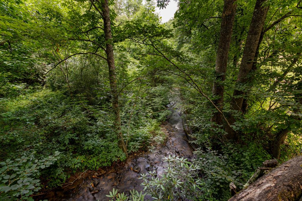 Hayesville, North Carolina, 28904, United States, 4 Bedrooms Bedrooms, ,2 BathroomsBathrooms,Residential,For Sale,1871296