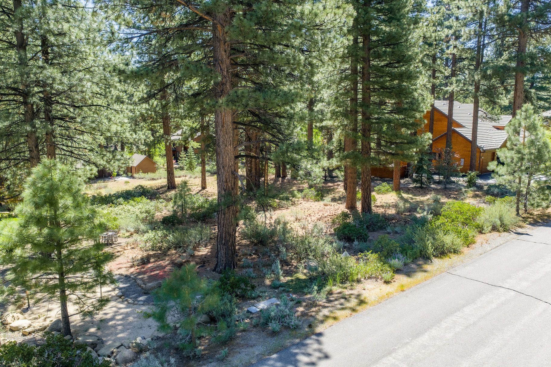  Private Galena Forest Parcel Near Mt. Rose with Pines & Tahoe Access - 物件實景