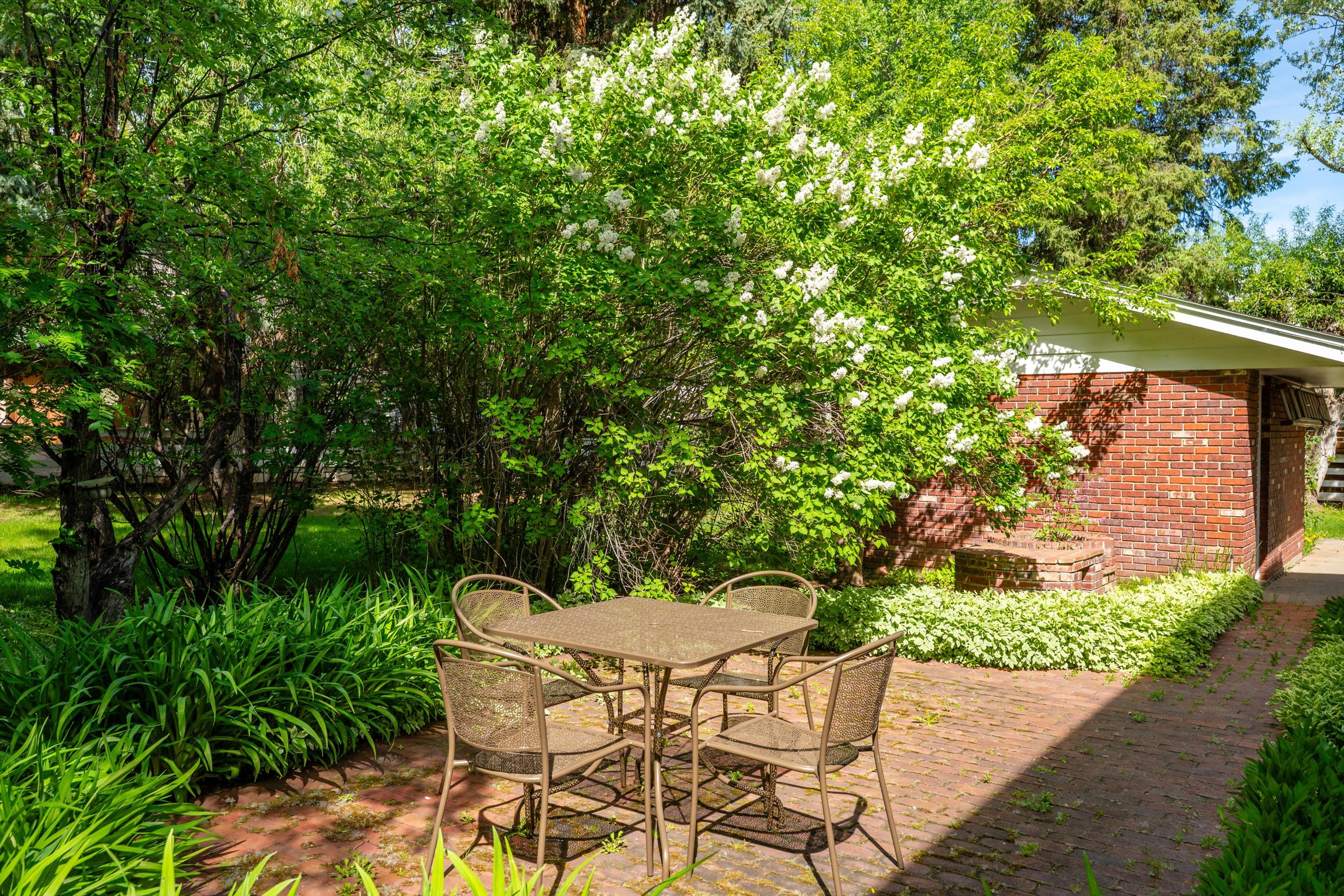  875 Bonita Drive, Aspen, CO 81611 - 物件實景