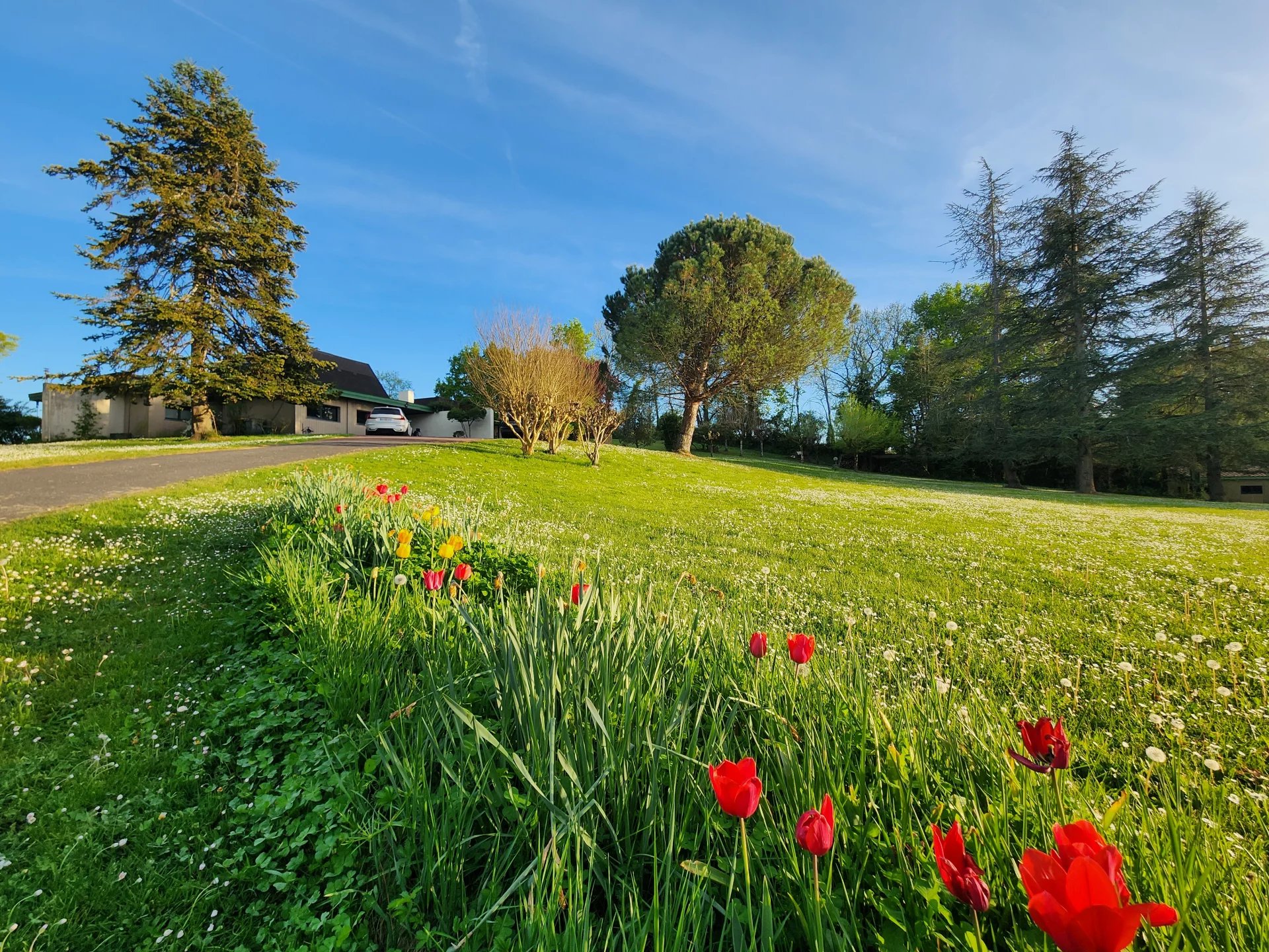 Nérigean, New Aquitaine, 33750, FR, 6 Bedrooms Bedrooms, ,4 BathroomsBathrooms,Residential,For Sale,1776963