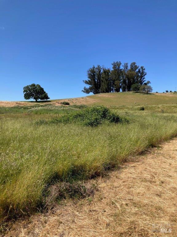 Cotati, California, 94931, United States, ,Residential,For Sale,1909249