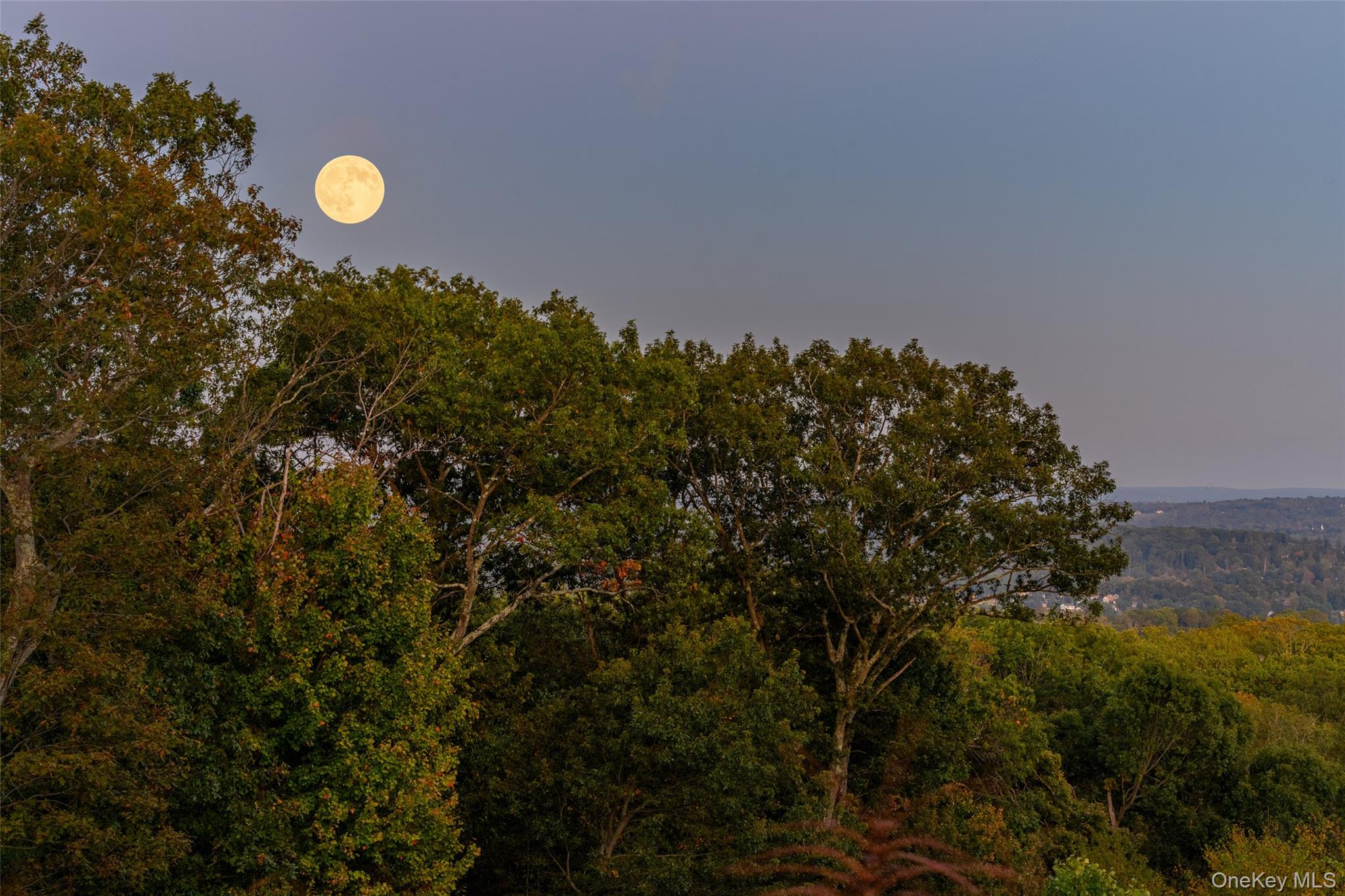 Call Listing Agent, Connecticut, 06812, United States, 5 Bedrooms Bedrooms, ,6 BathroomsBathrooms,Residential,For Sale,1991031