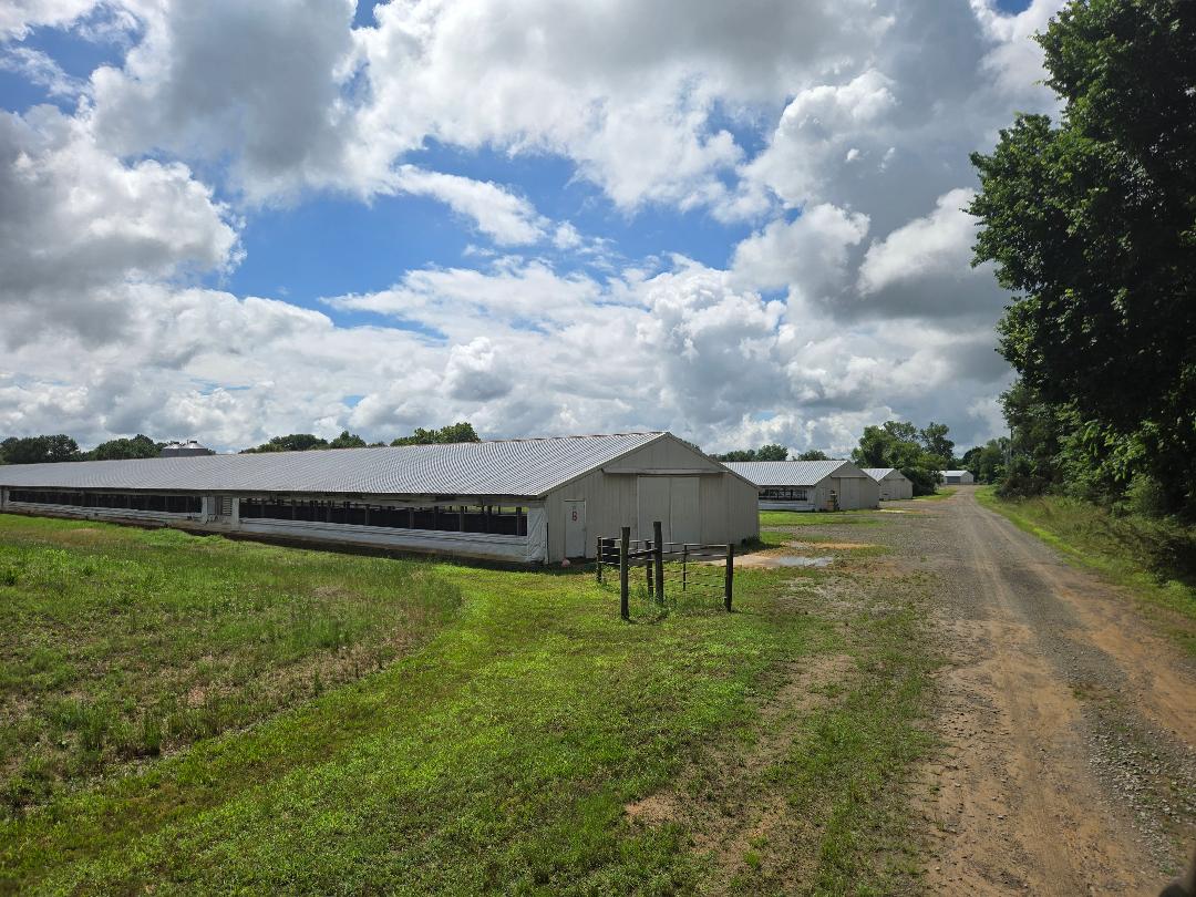 Lamar, Arkansas, 72846, United States, ,Residential,For Sale,2048201