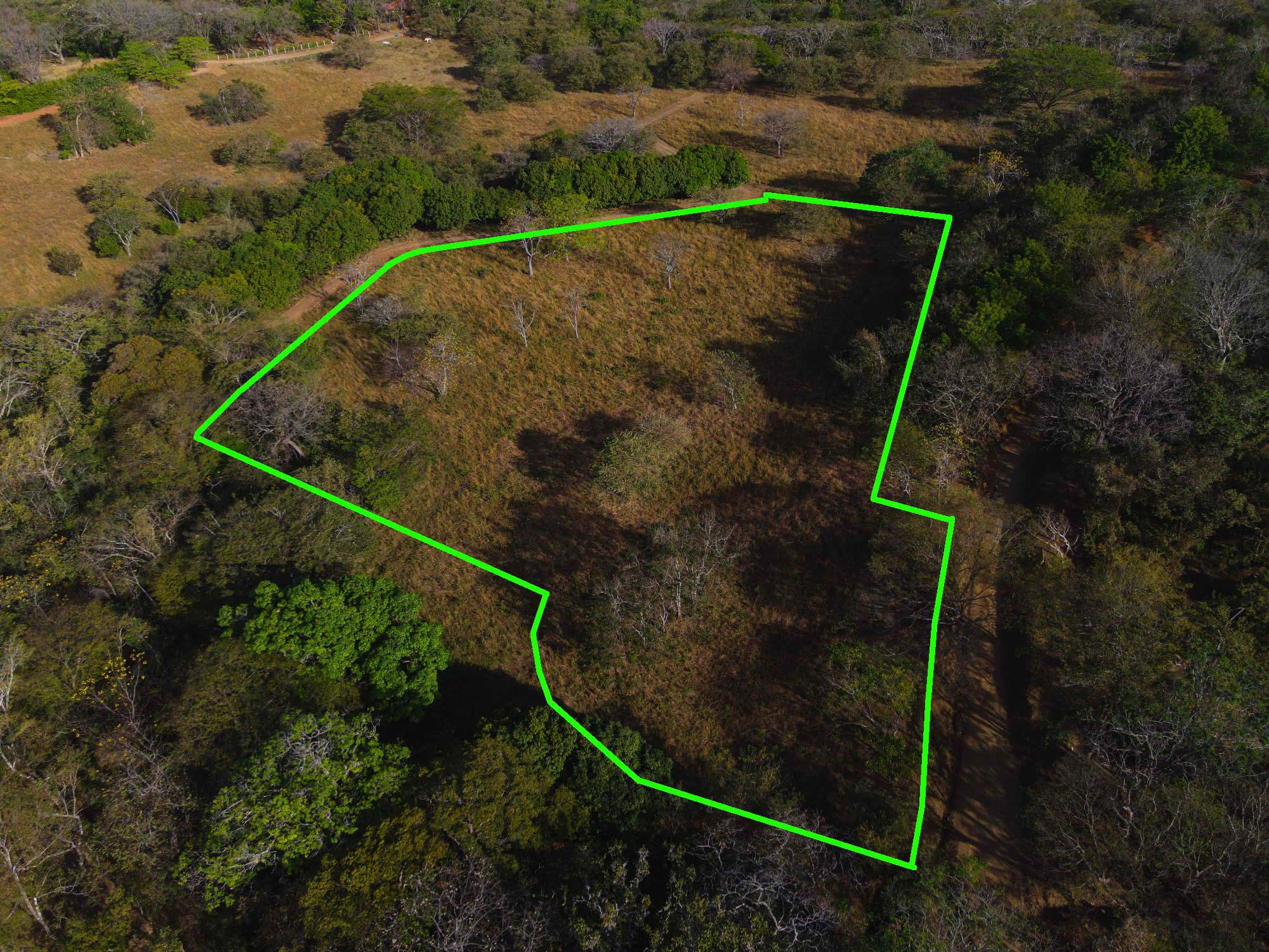 Avellanas, Guanacaste, CR, ,Land,For Sale,1707705
